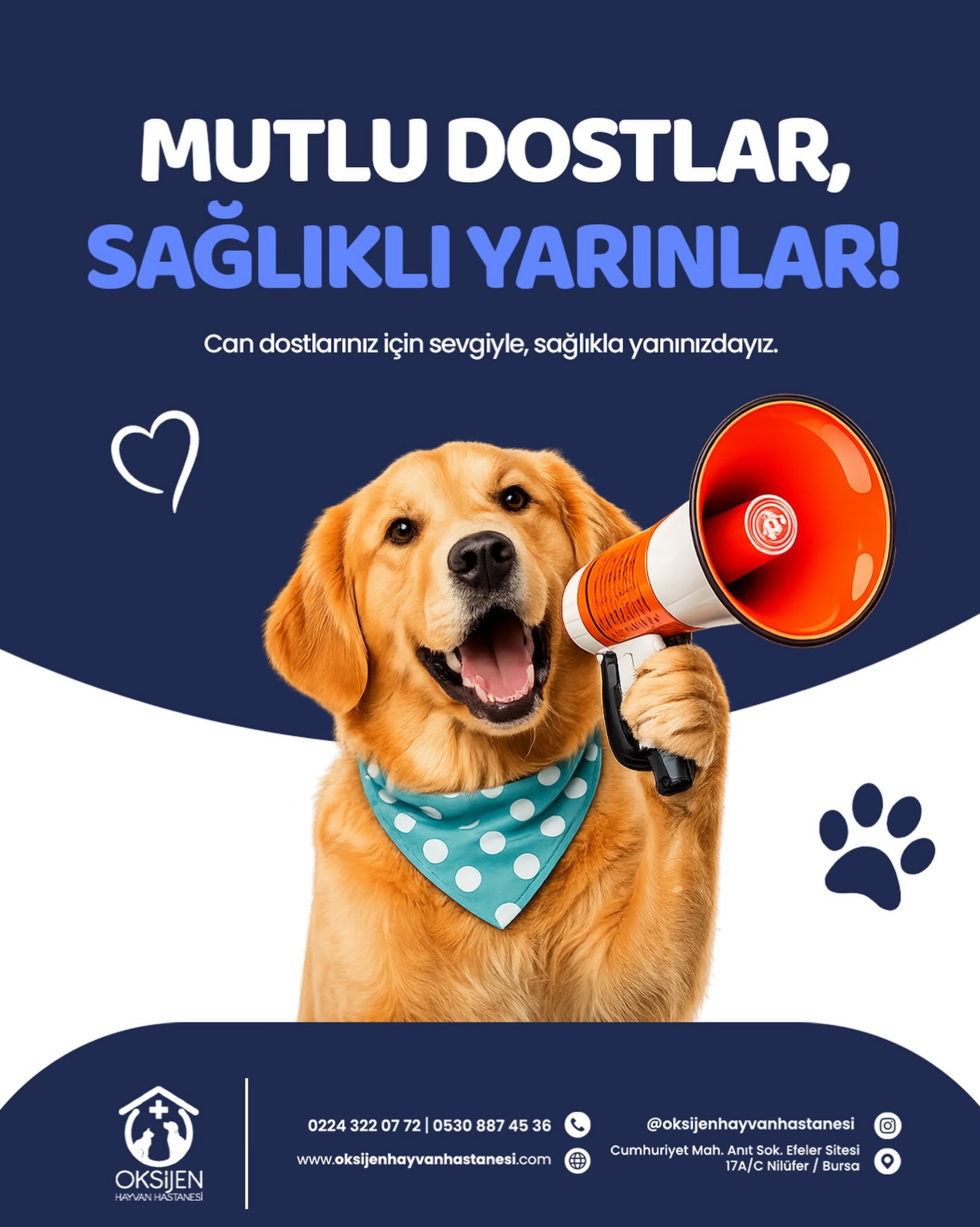 Oksijen Hayvan Hastanesi (@oksijenhayvanhastanesi) • Facebook