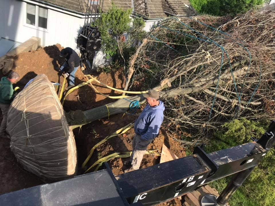 Dave with the big lift!!!!... - Lift Techs Crane and Rigging