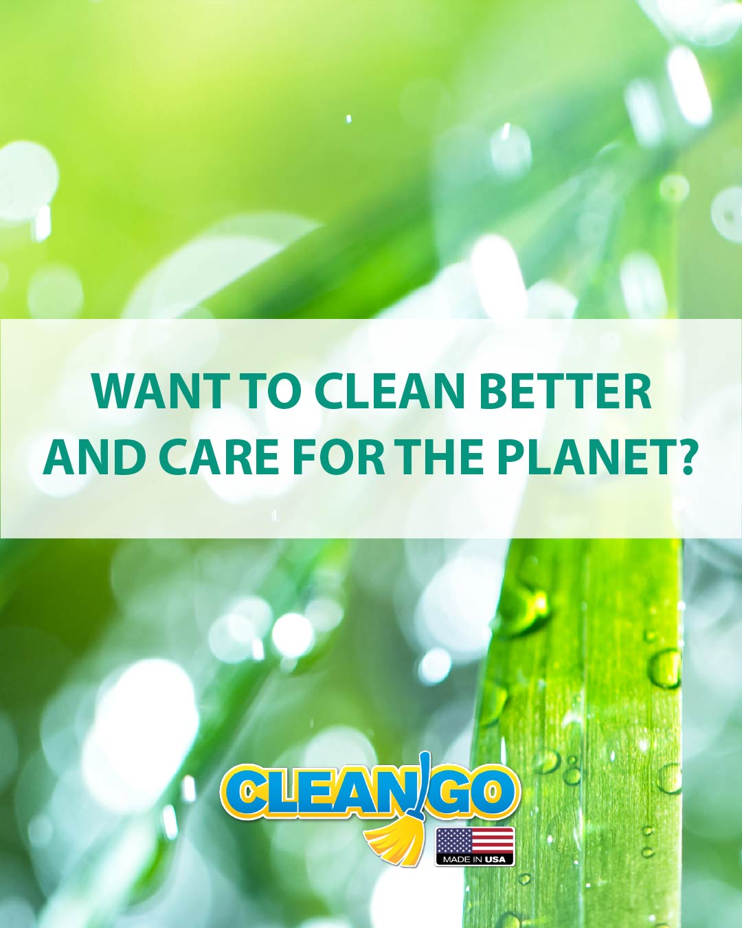 Cleangousa | Pembroke Pines FL