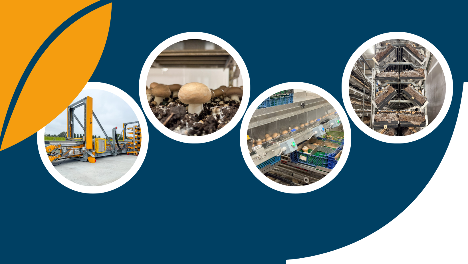 Legro Mushroom Casing... - Legro Mushroom Casing Solutions
