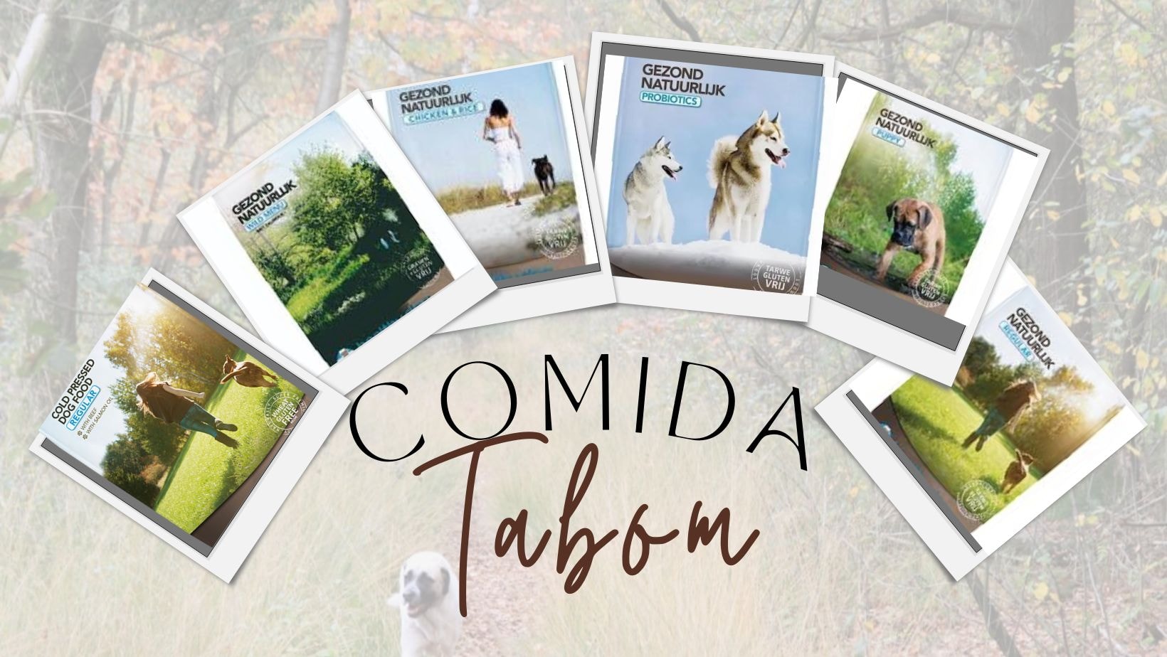 Comida Tabom | Zeeland