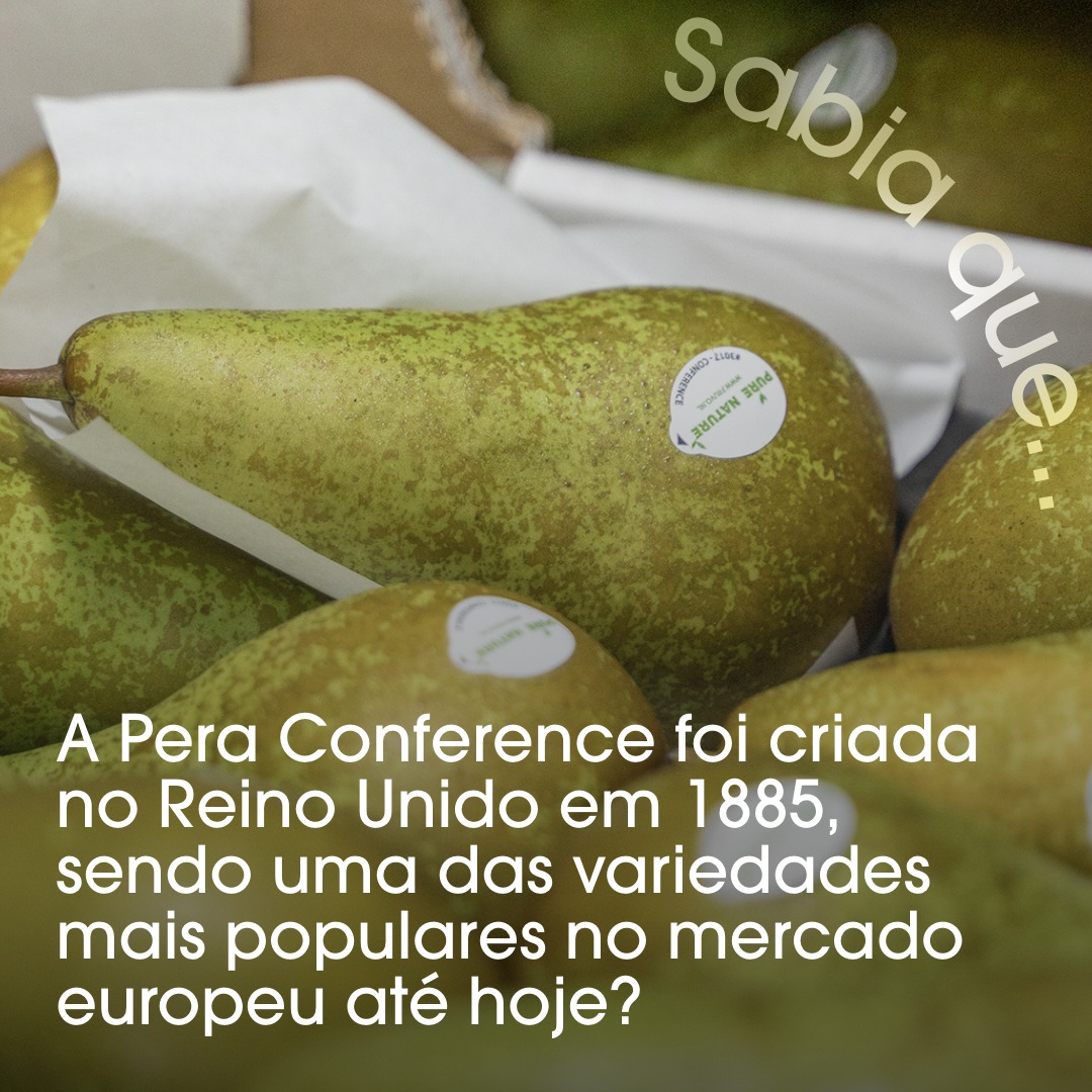 Frutas - Conhece a origem da pera conference? Criada no Reino Unido em ...