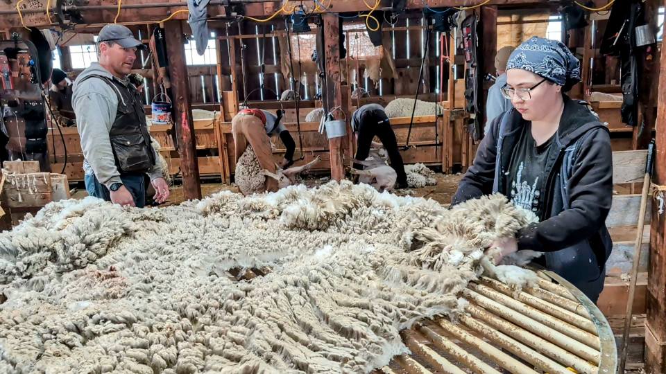 Montana Wool Lab added a new photo. - Montana Wool Lab