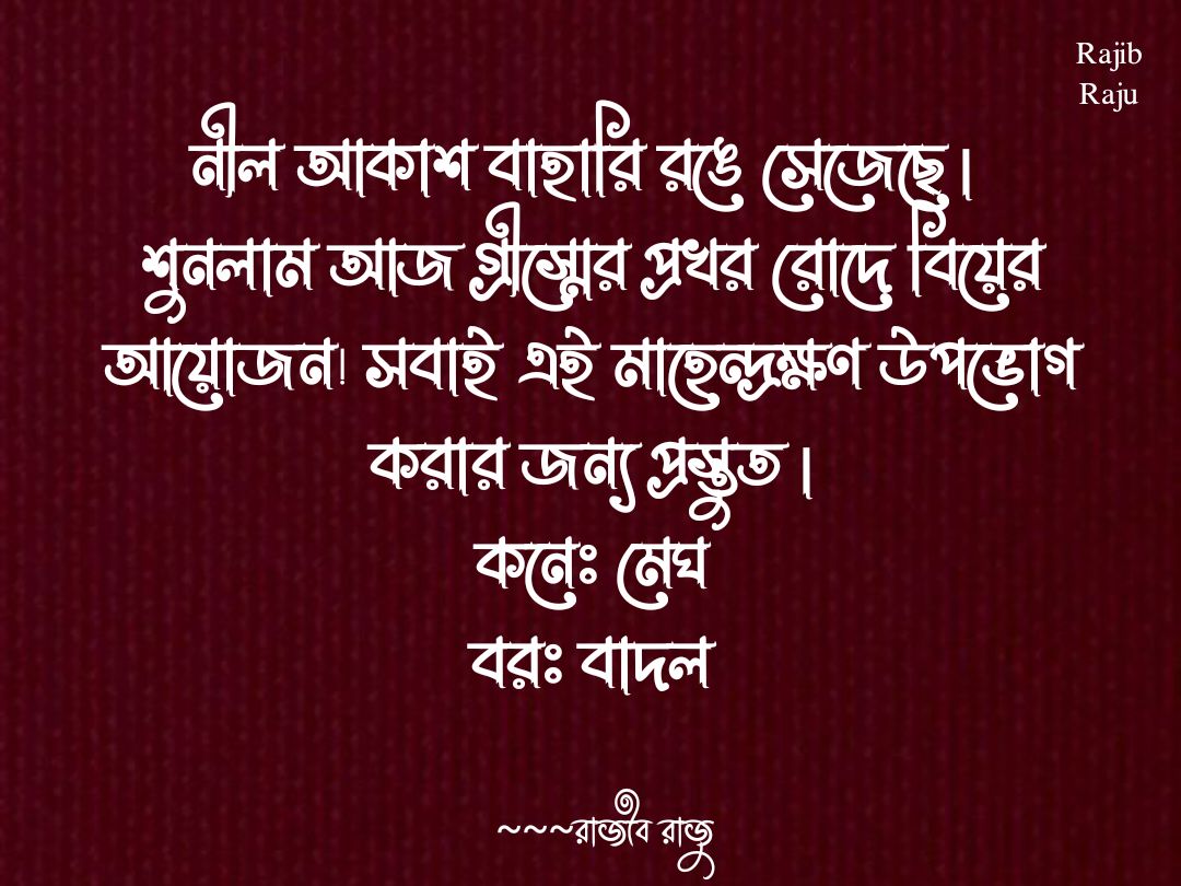 Rajib Raju