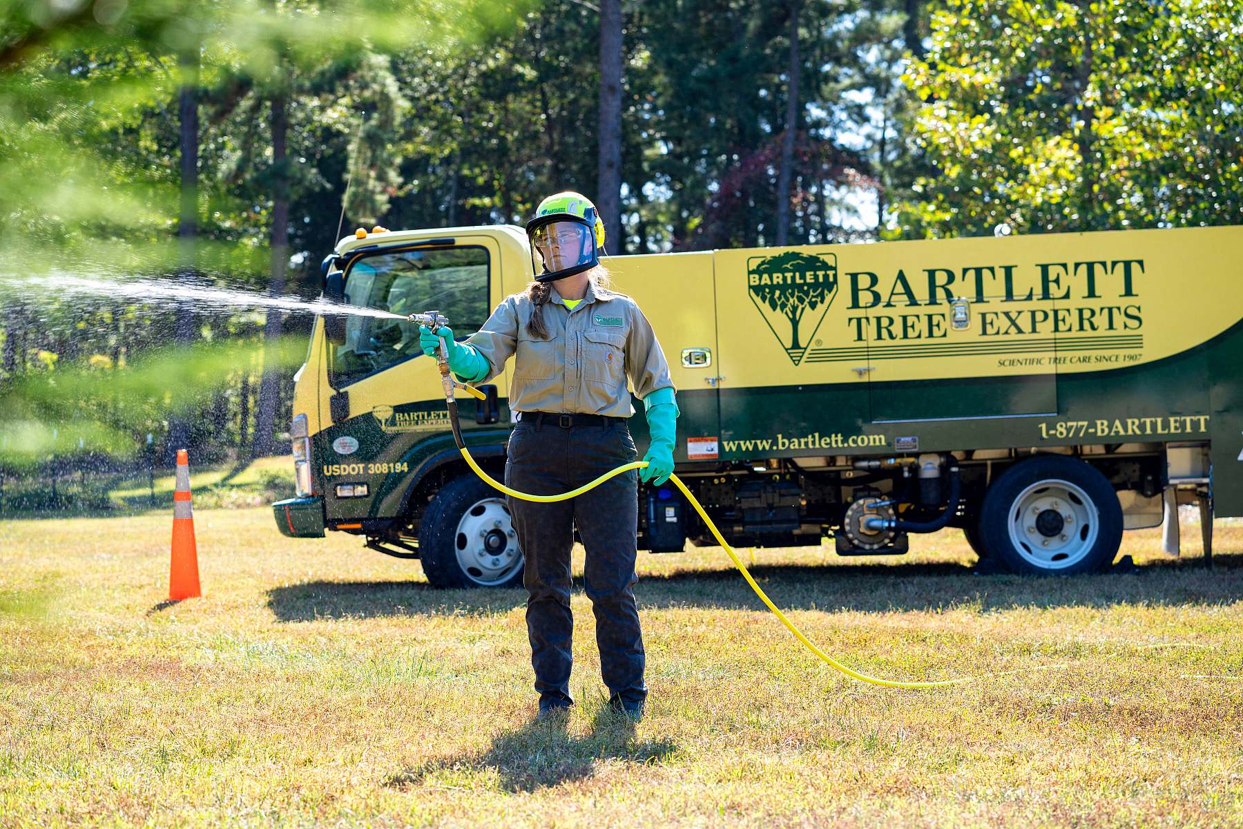 Amazing Bartlett Tree Experts Reviews Gallery