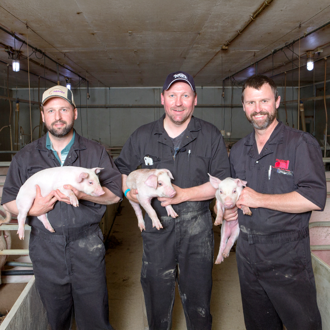 Alberta Pork | Edmonton AB