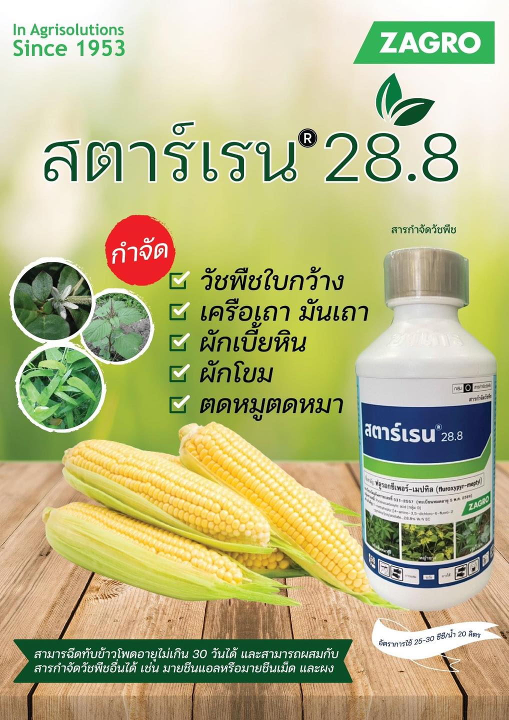 😆😆สตาร์เรน 28.8 👍👍... - กนกพานิชย์ ปุ๋ย-ยา | Facebook
