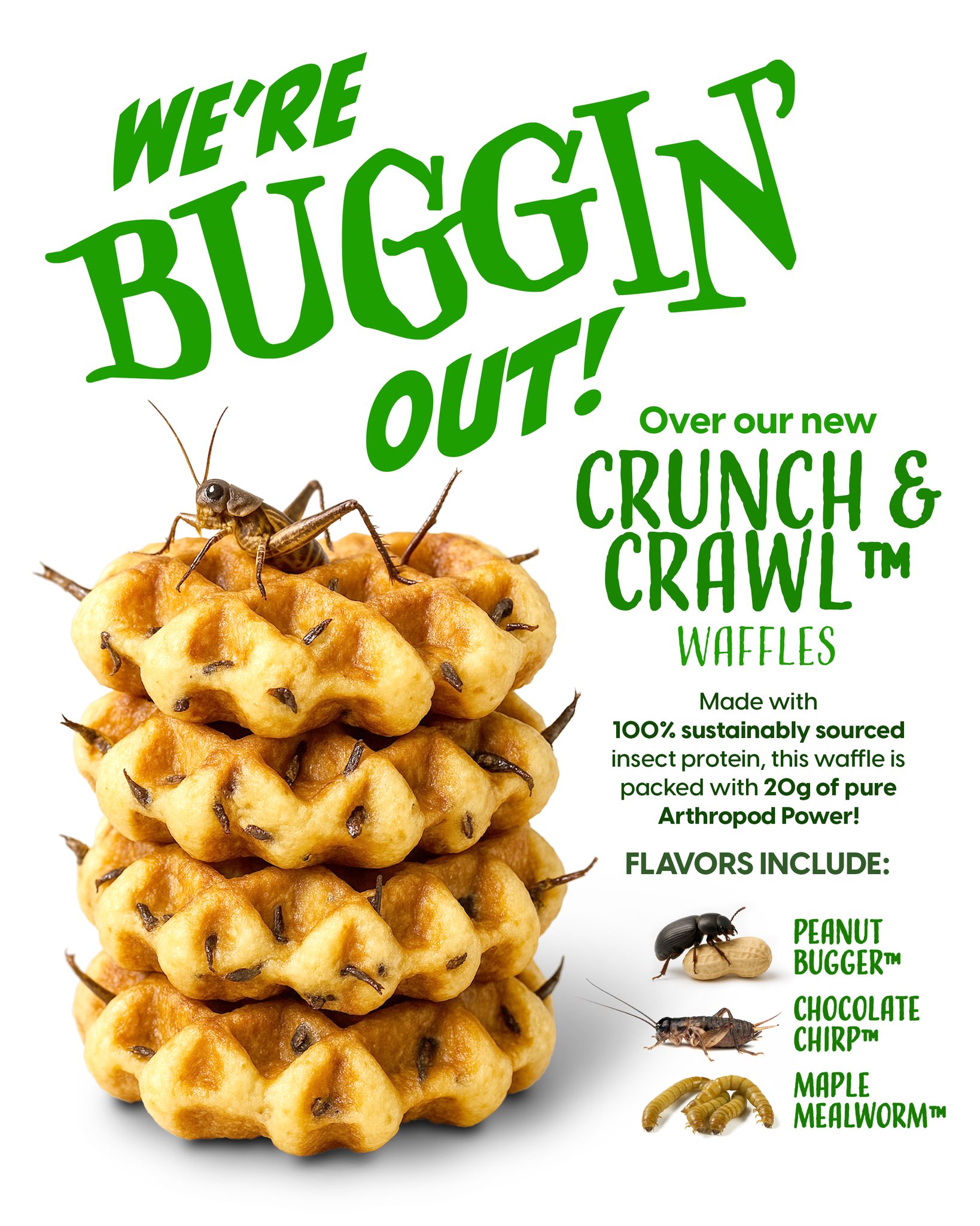 Hartybake - 🧇🪲 Introducing: Crunch & Crawl™ Waffles... | Facebook