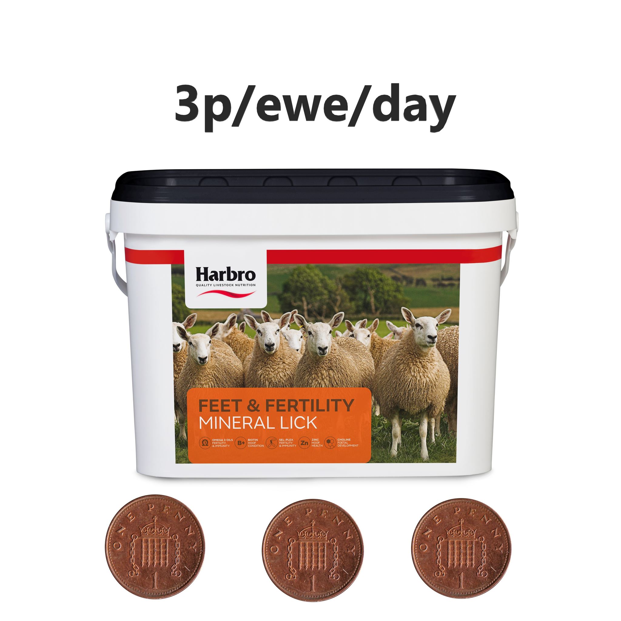 Harbro - Did you know our Feet & Fertility bucket costs as little as 3p ...