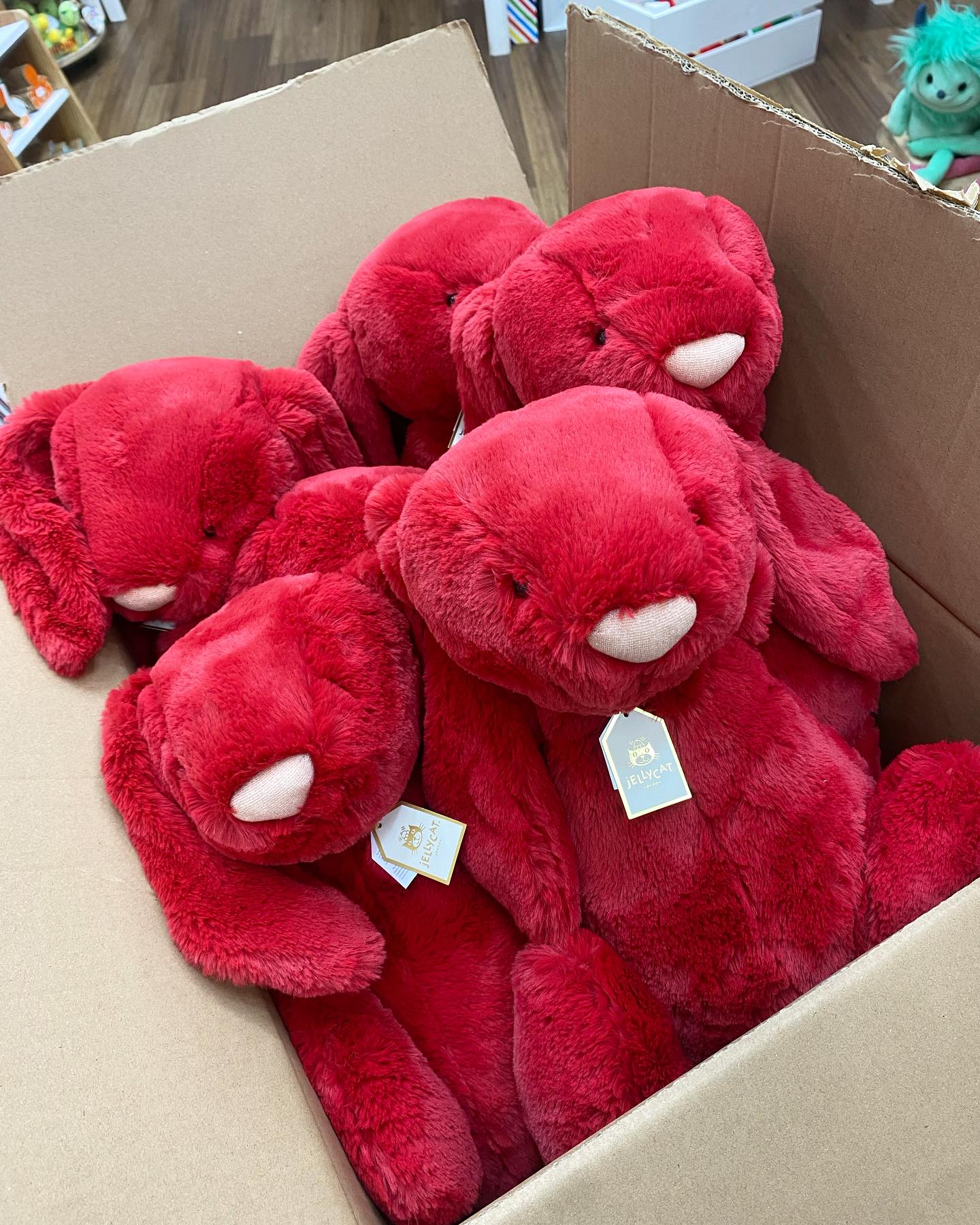 JELLYCAT BUNNIES 🐰😍 Bashful Christmas bunny medium 🎅🏽 and