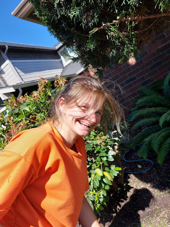Luke Tree Service | Seattle WA