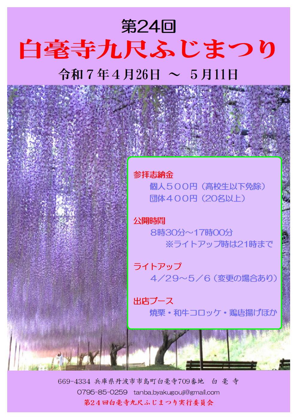 白毫 寺 藤 まつり