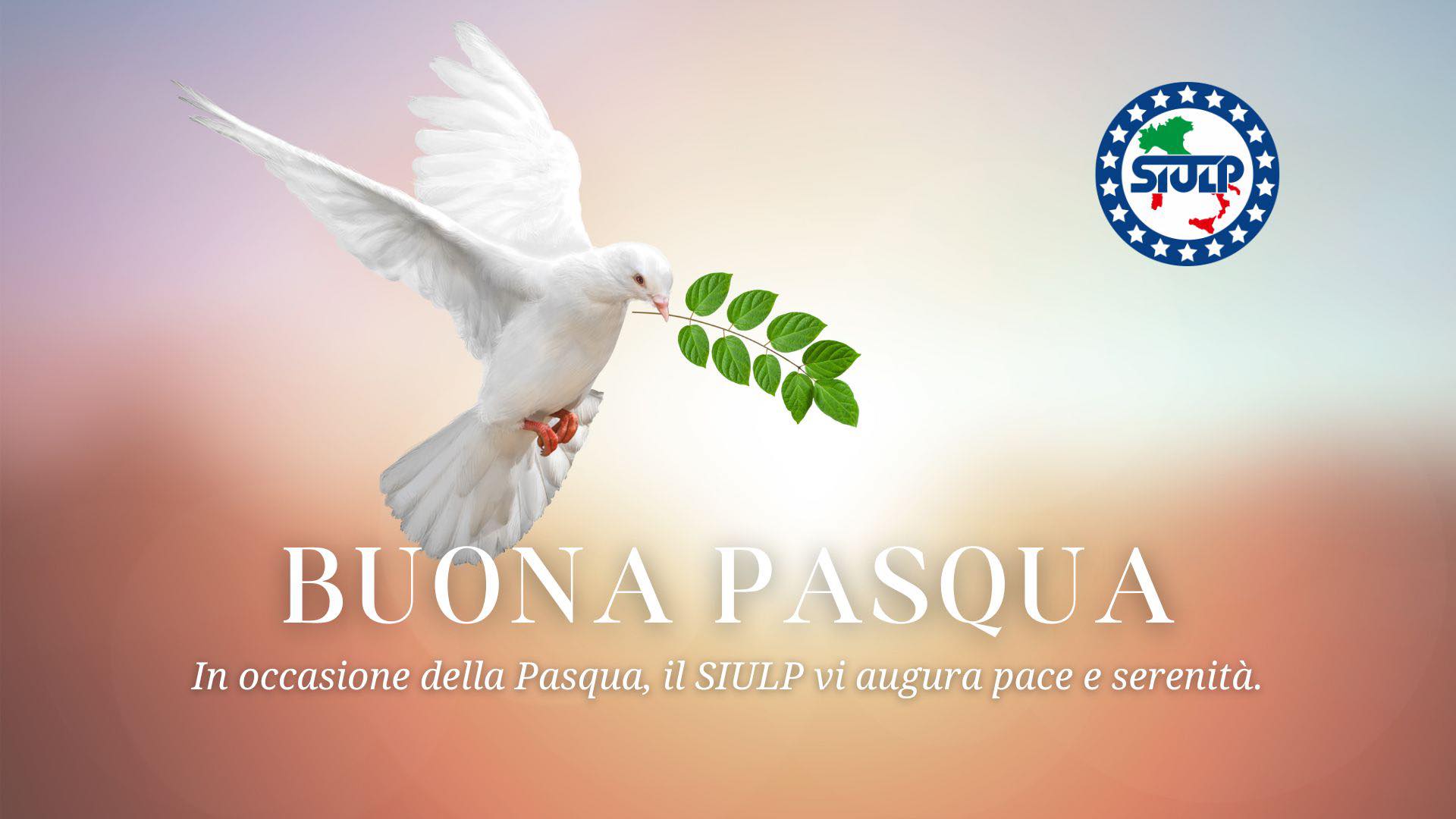 Siulp L'Aquila - #siulplaquila #siulpnazionale... | Facebook