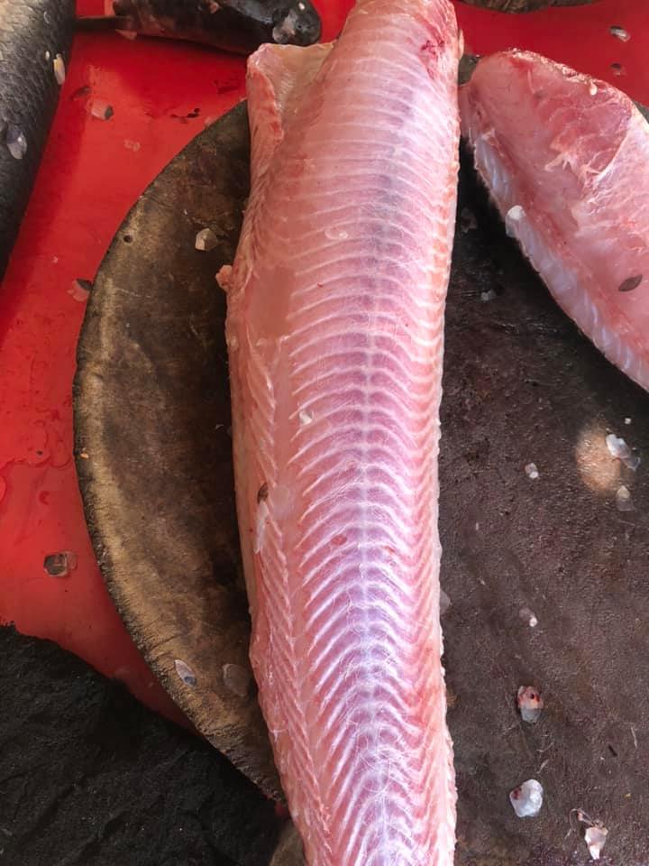 Aslam Fish & Chicken Traders | Lahore