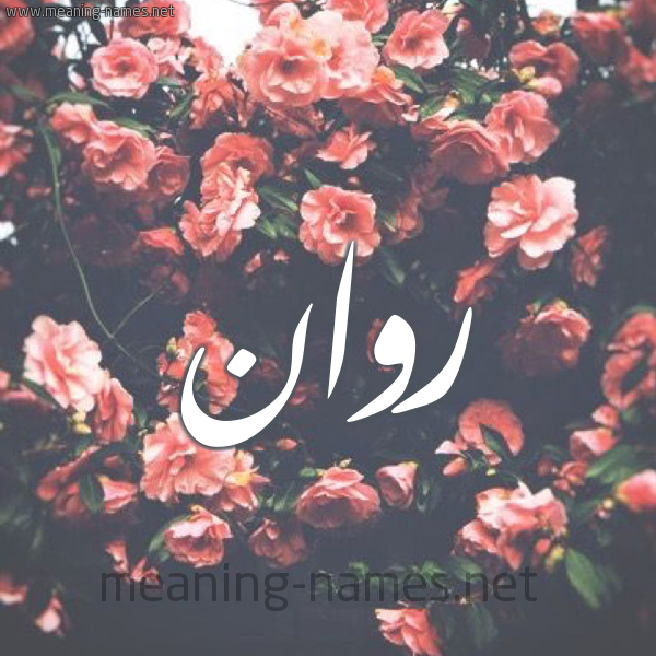 معاني الأسماء
