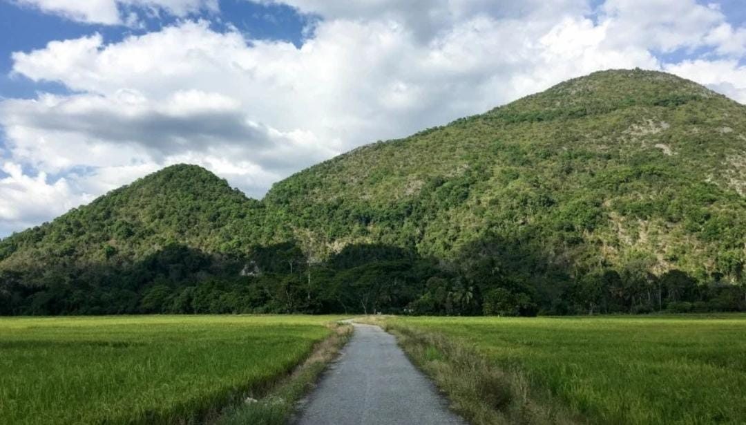 Jejak Gunung Pulai Home Facebook