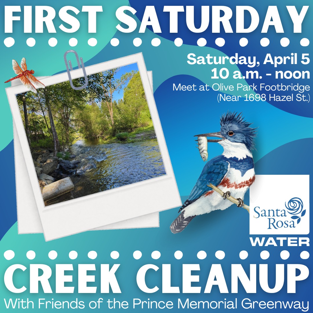 Santa Rosa Water | Santa Rosa CA