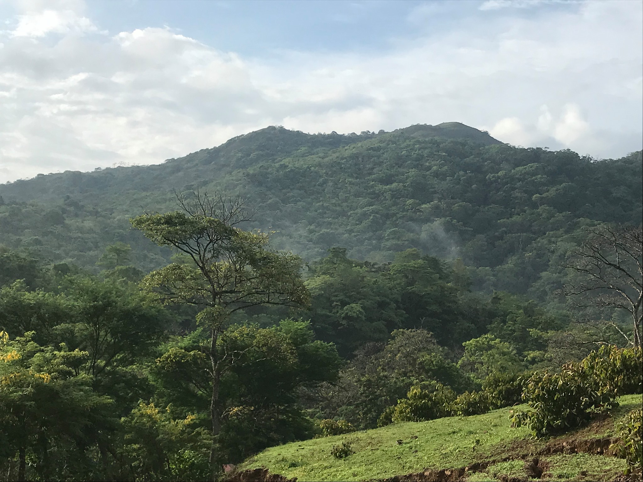 Ecofarms Panama | Chepo