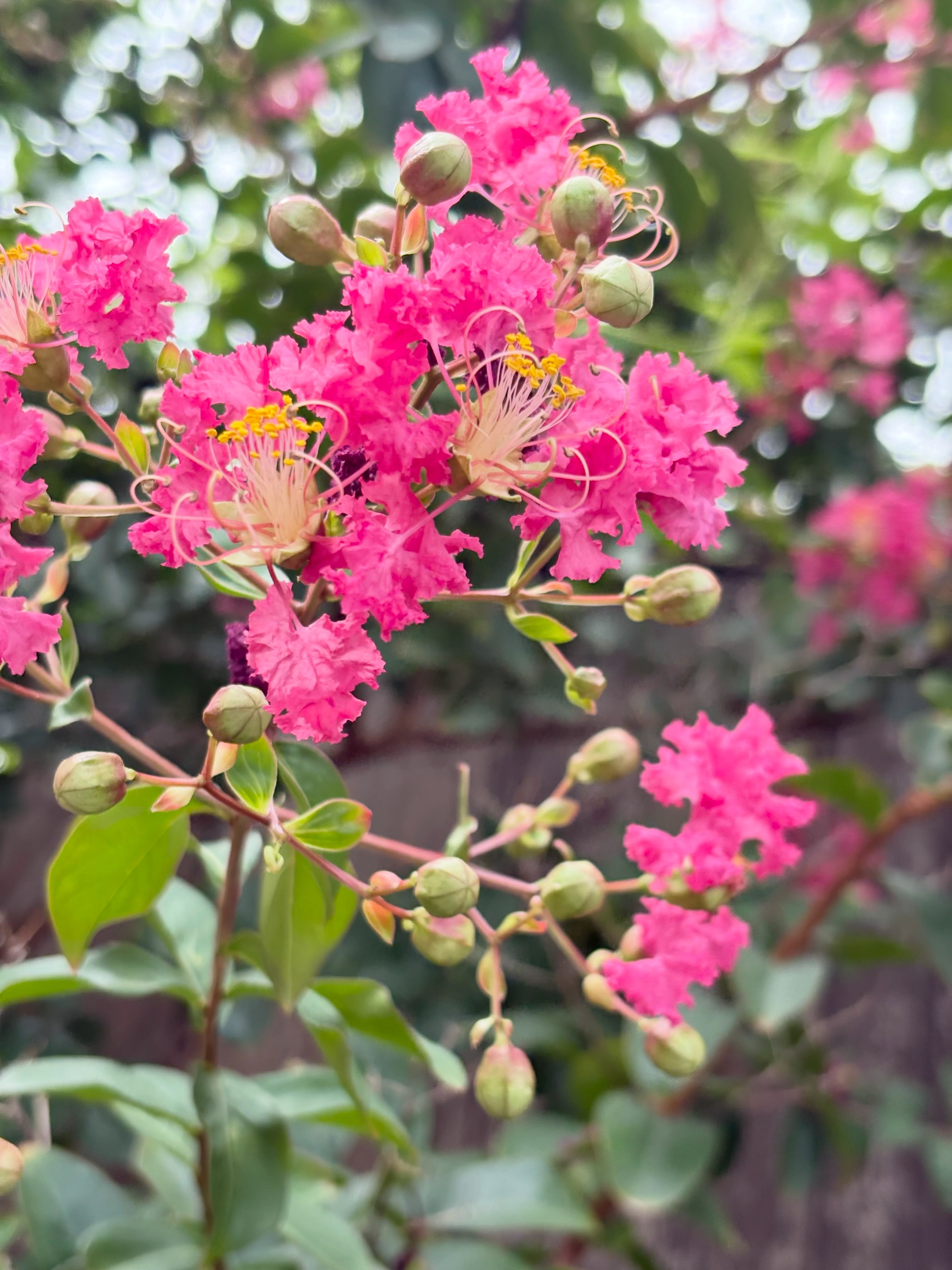 まゆみ工房 - まゆみ工房 added a new photo — in Kyoto, Japan.