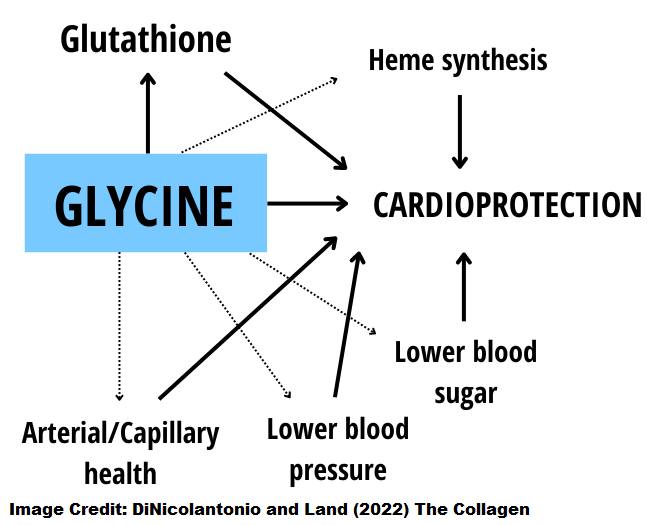 Mixture of Thiocarbamide and Glycin