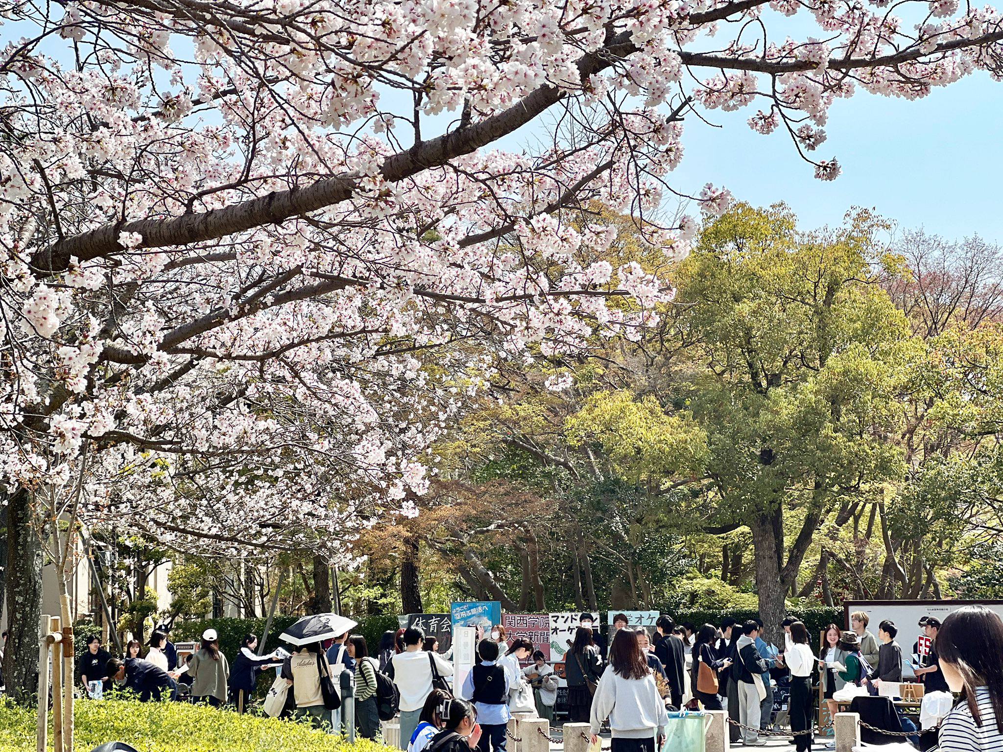 関西学院大学 / Kwansei... - 関西学院大学 / Kwansei Gakuin University