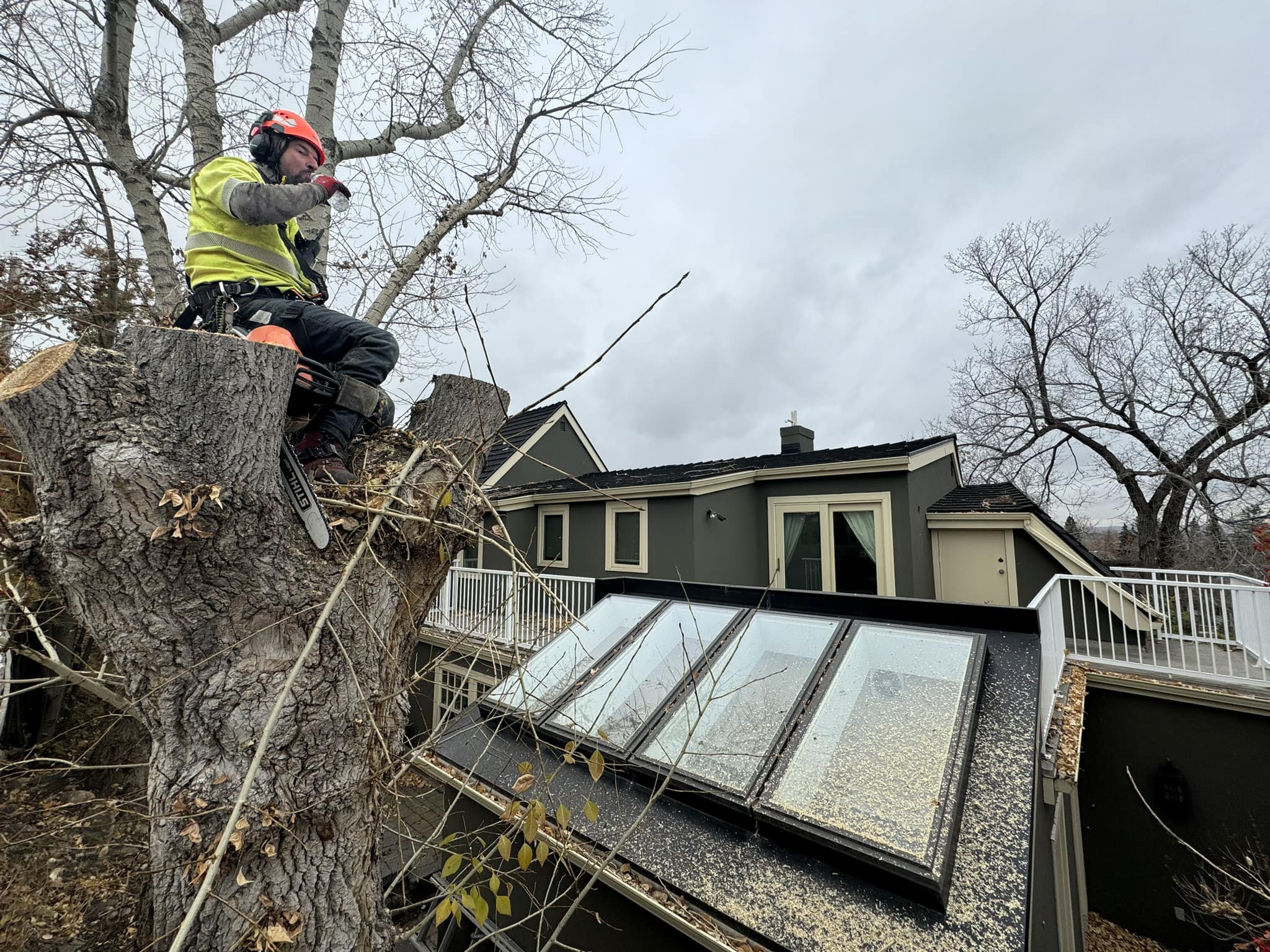 APEX Tree Service Ltd. | Calgary AB