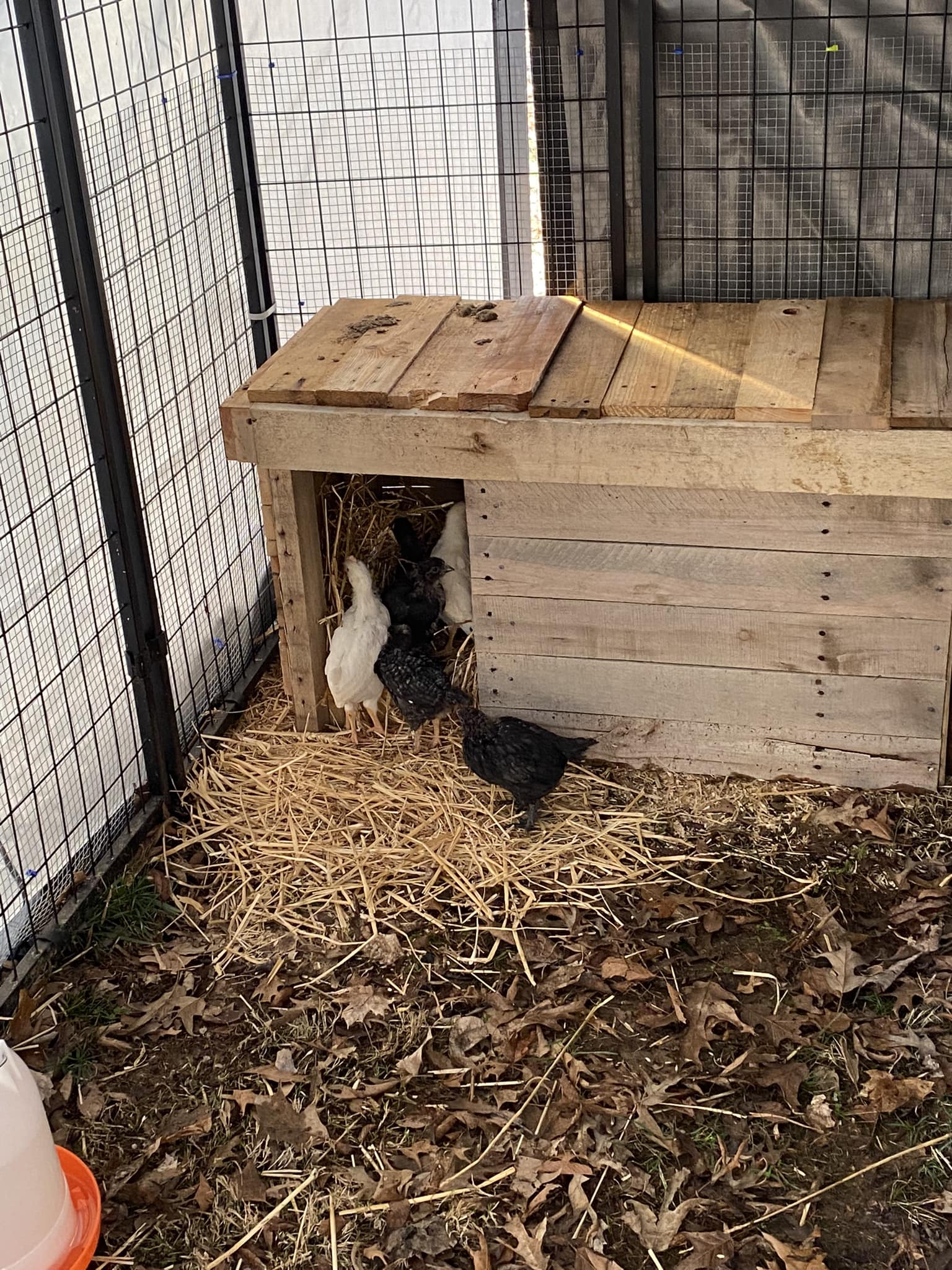 Quail Ridge Farm