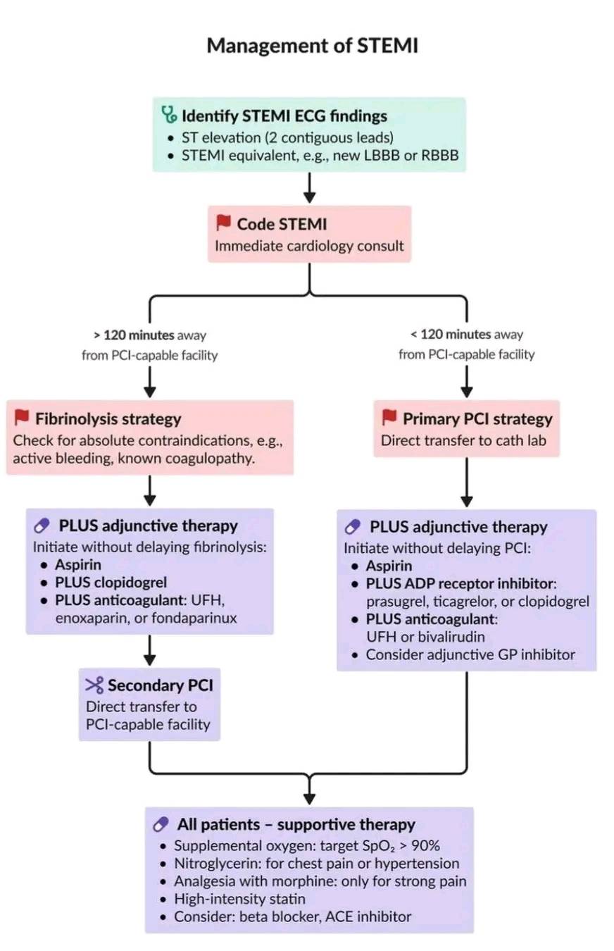 Cardiology - The management of ST-elevation myocardial infarction ...