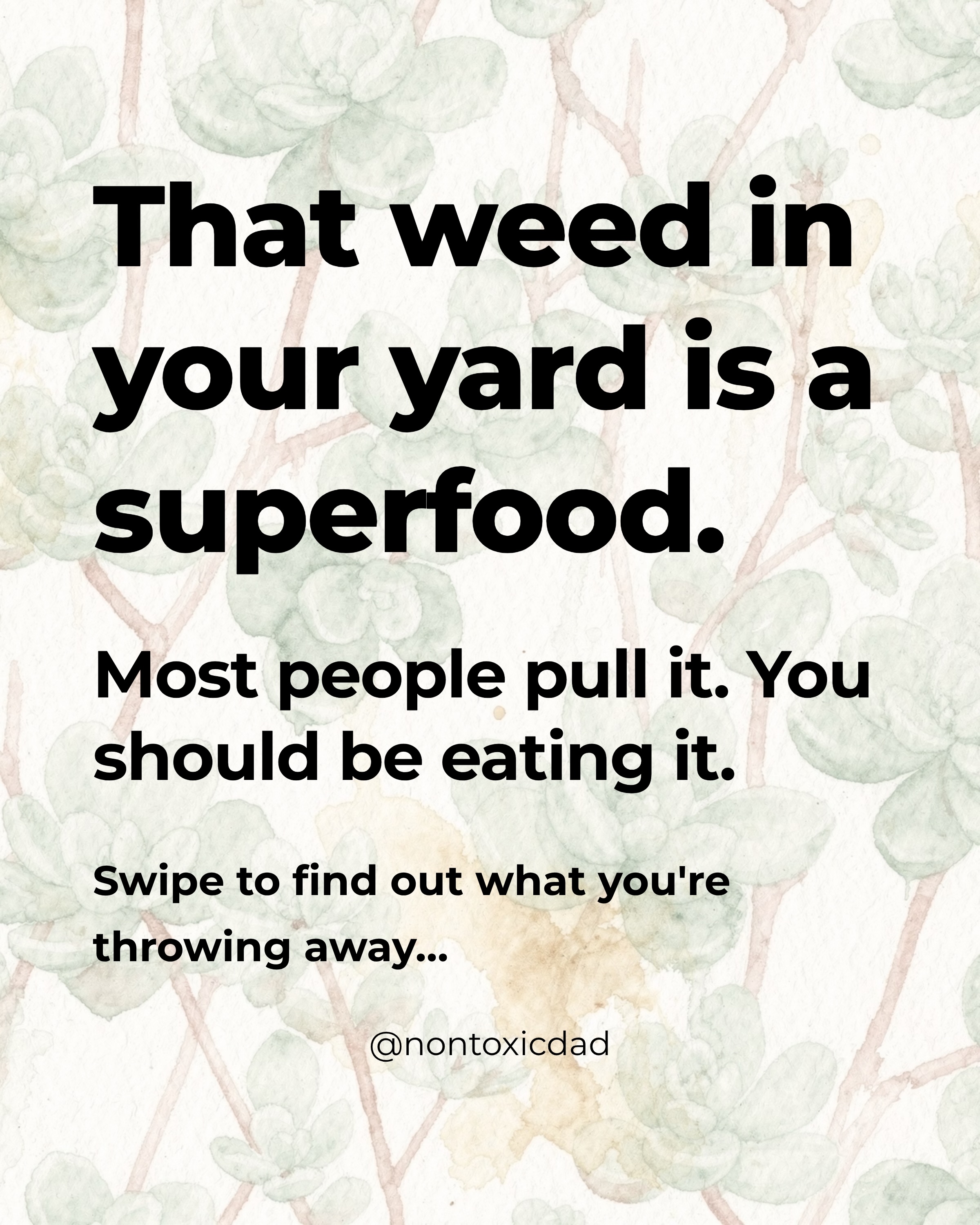 That weed you keep pulling out of the garden might be the best thing growing in it. Purslane packs more omega-3s than any leafy green tested, more glutathione than spinach, and over