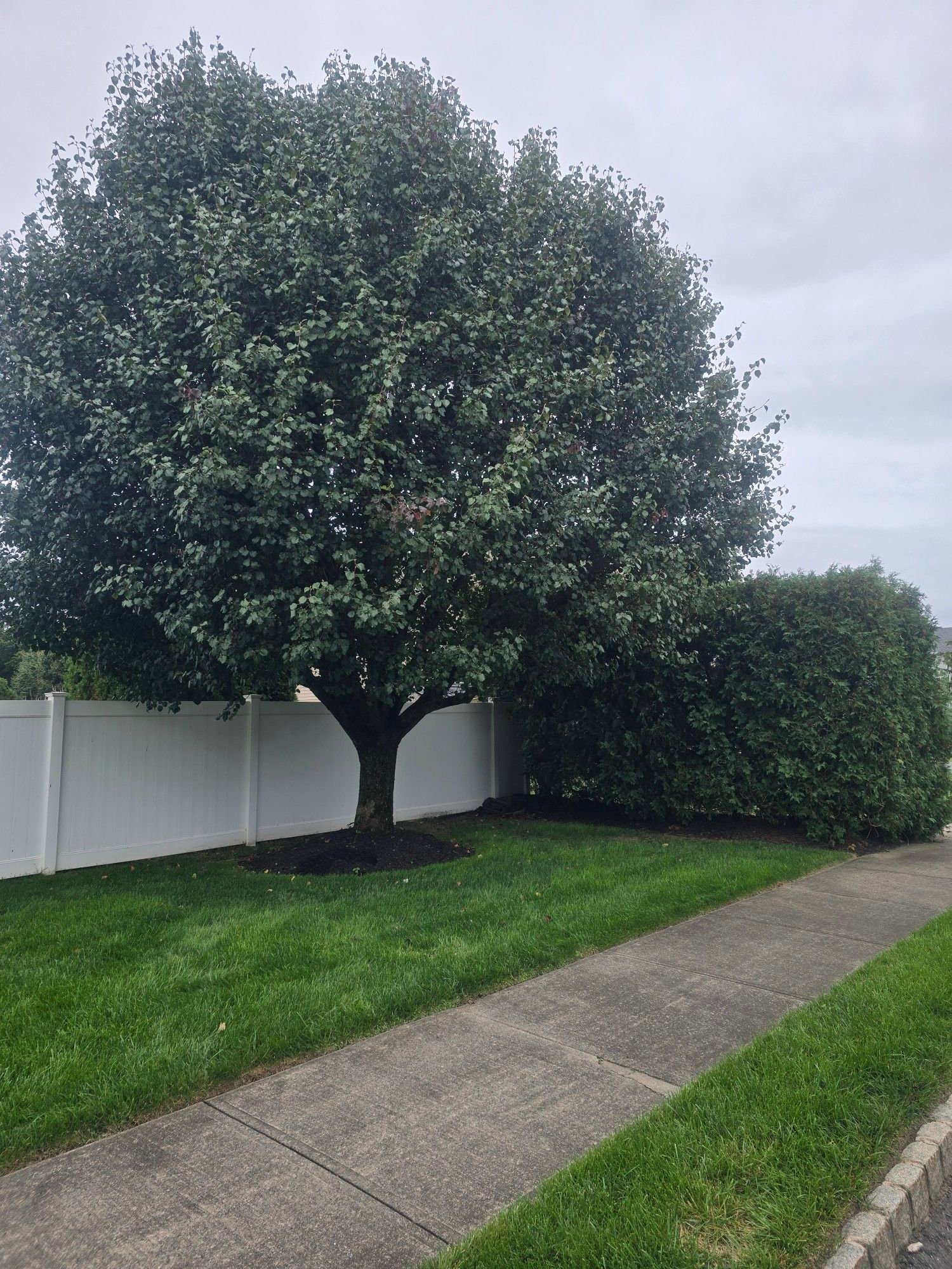 Kristian Tree Service | Freehold NJ