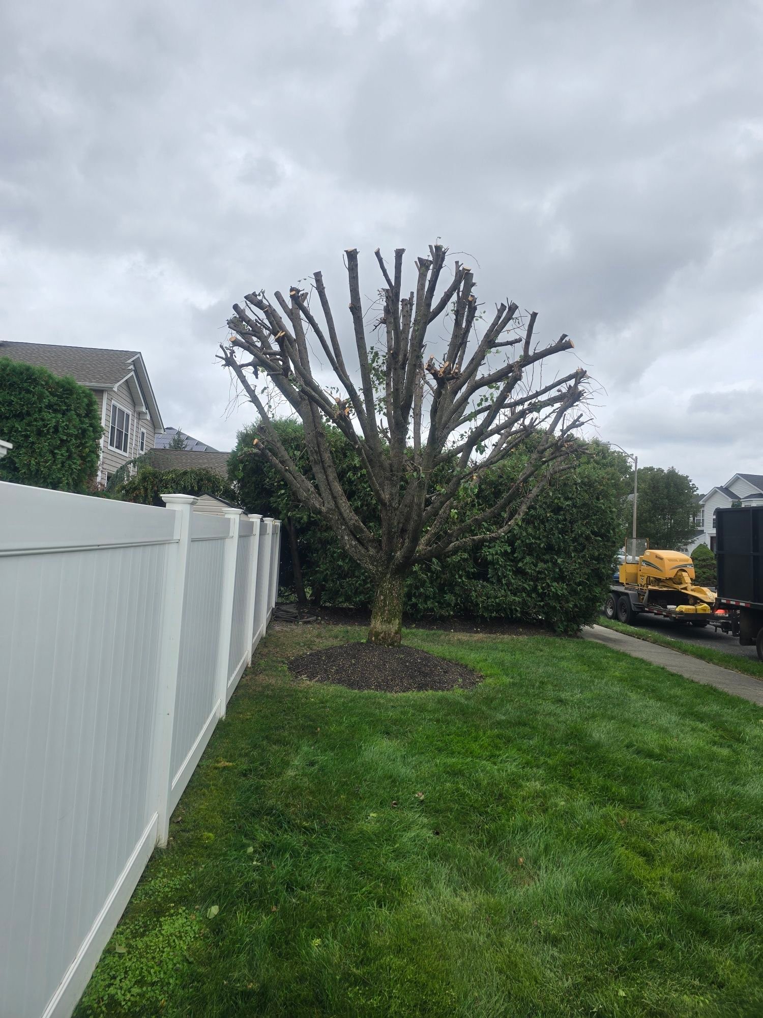 Kristian Tree Service | Freehold NJ