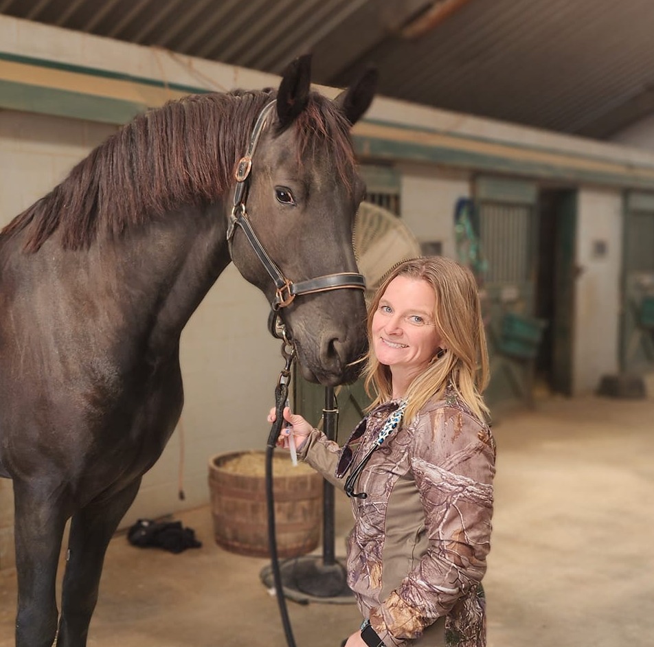 🛑 Before you stick a... - B-Line Equine Veterinary Services | Facebook