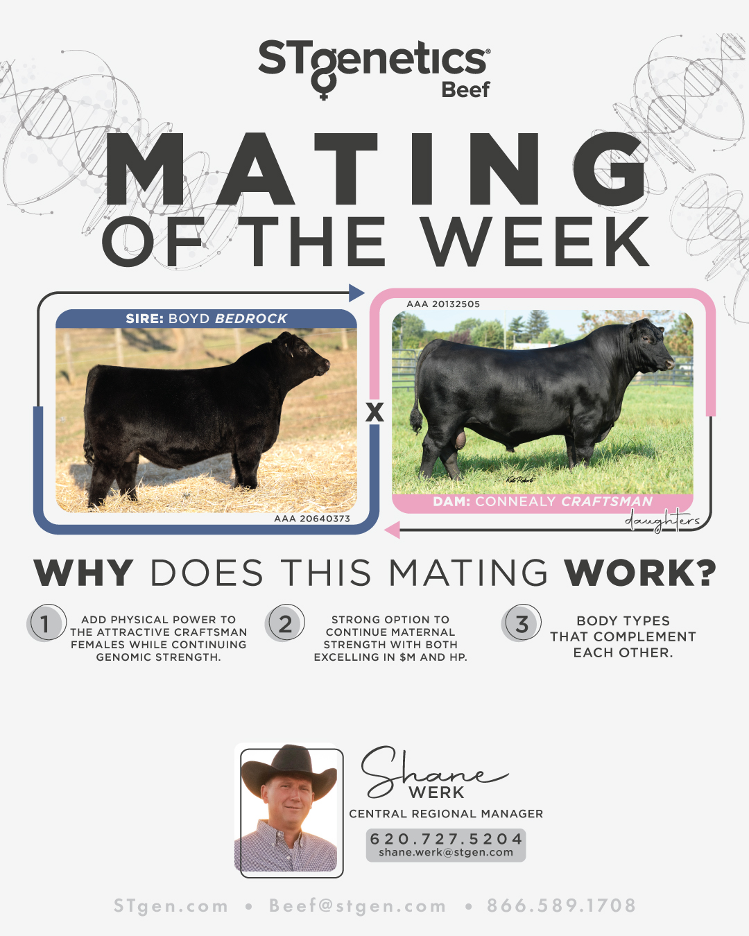 STgenetics - #MatingoftheWeek with Central Regional Manager, Shane Werk ...