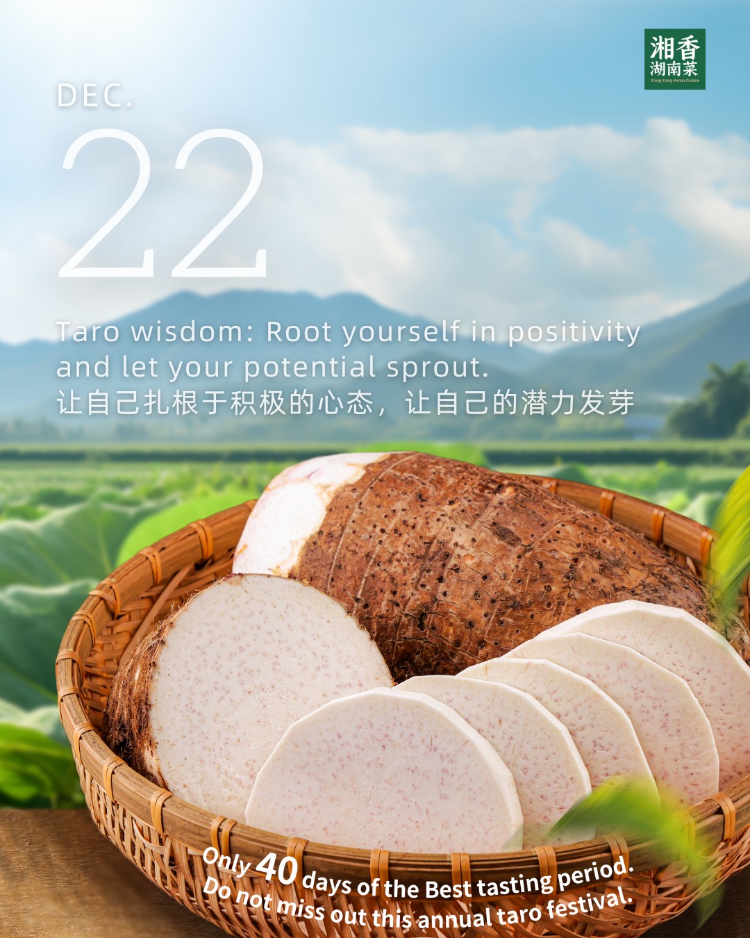 【Countdown to the Taro Festival of... - XIANG XIANG 湘香湖南菜