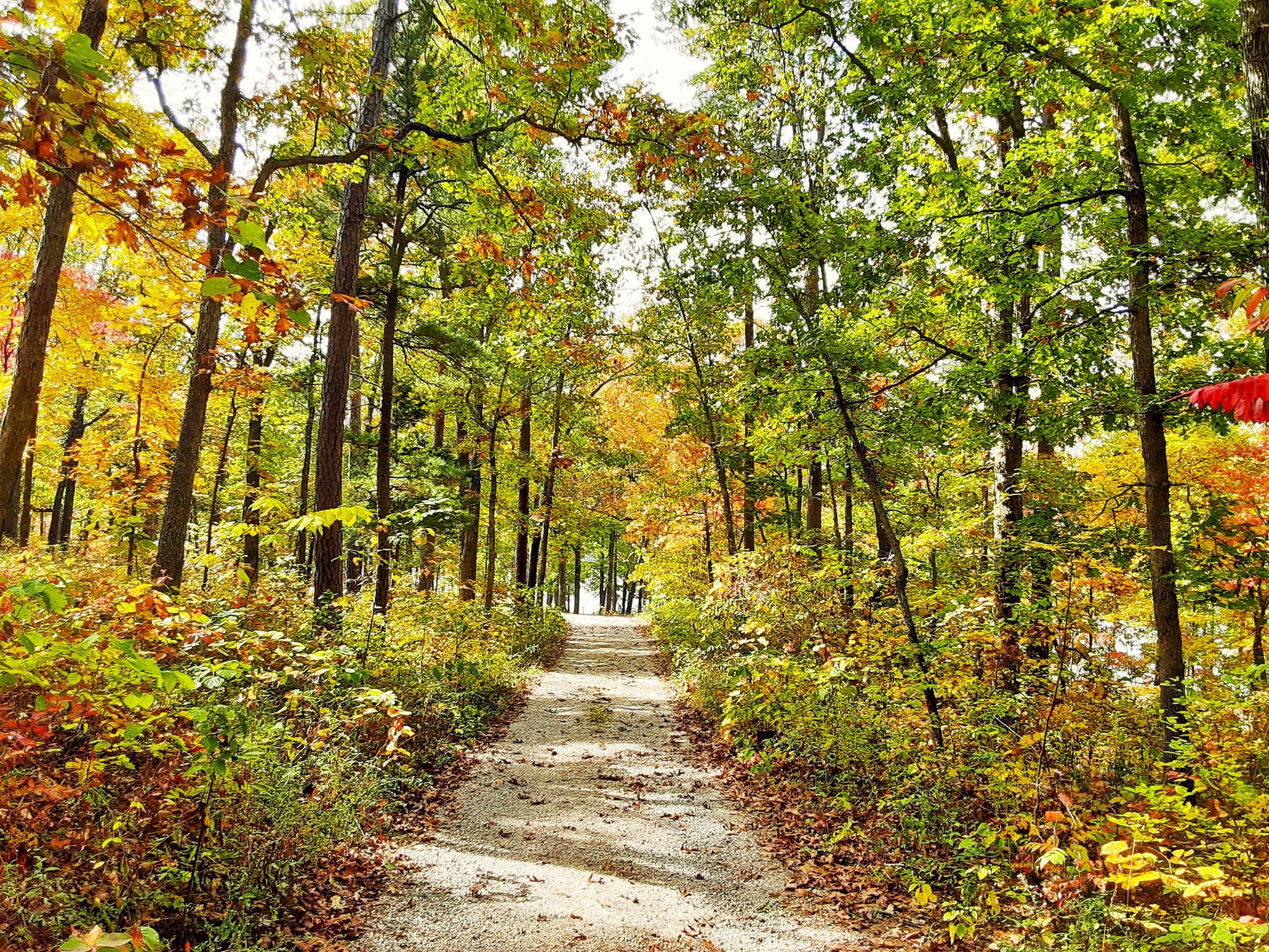 Spring Lake Ranch | Potosi MO