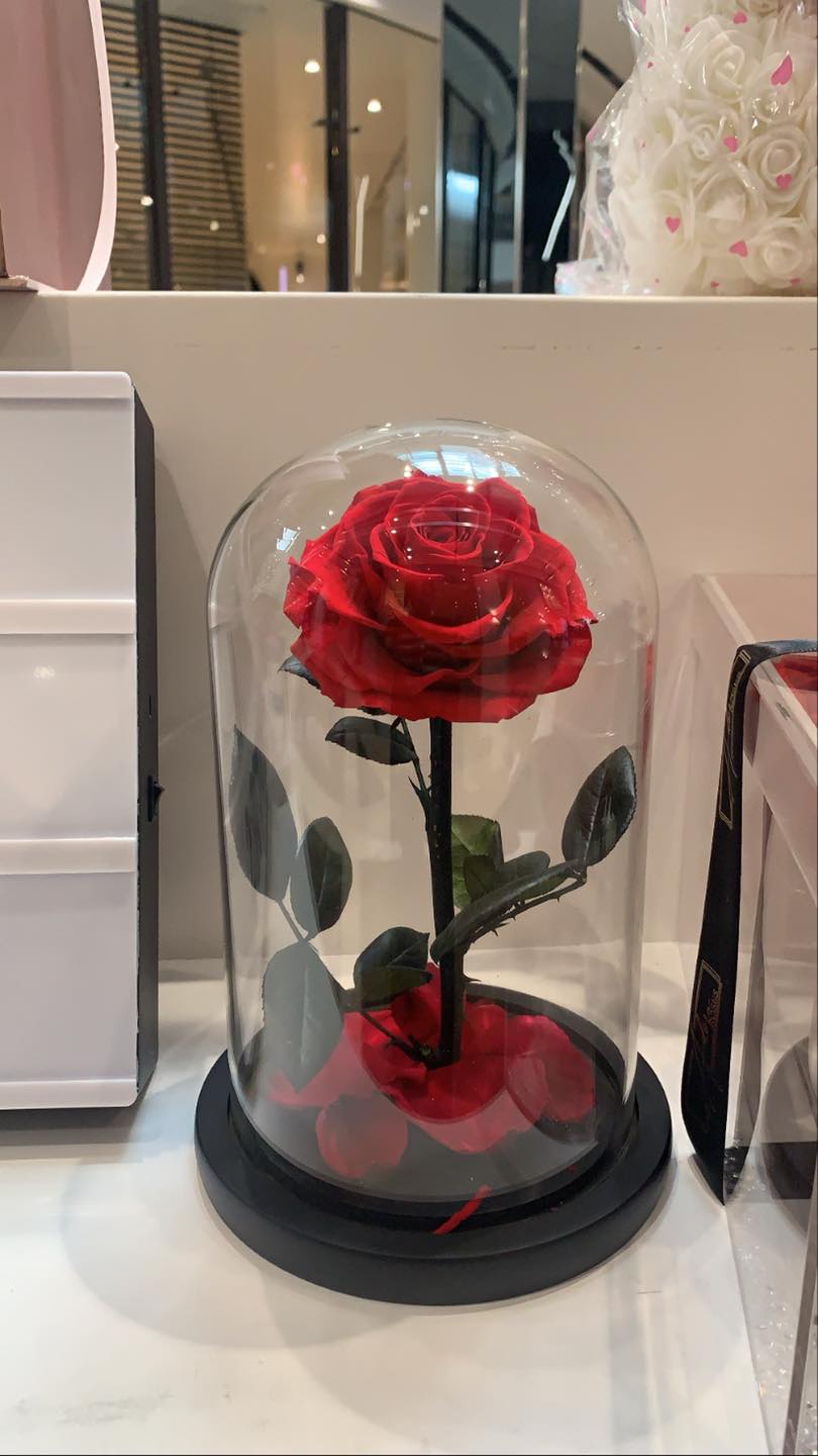 Adorn Roses