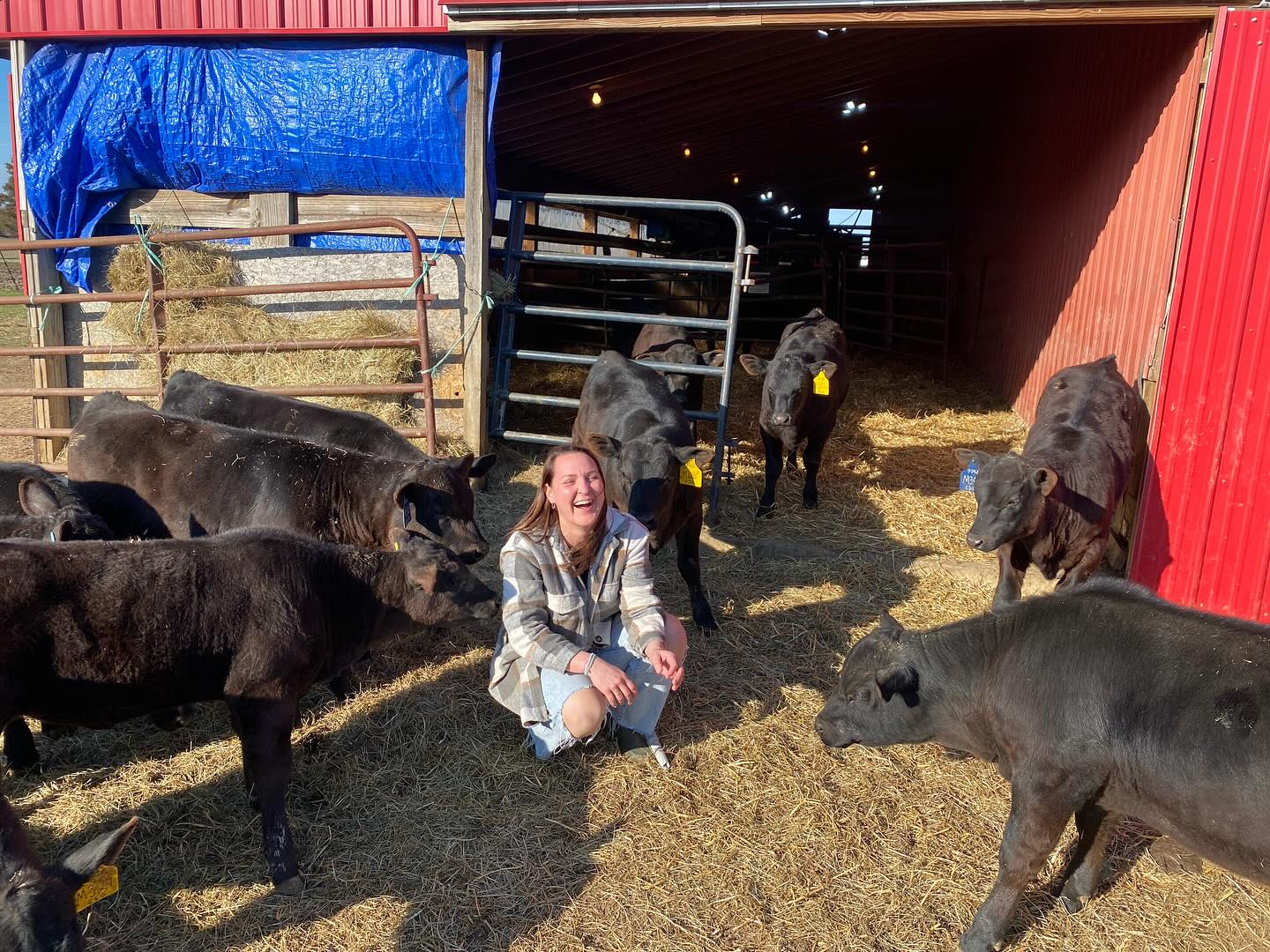 Triple C Angus, LLC - Queen of the Shit Pile💩 The Farm Store is open ...