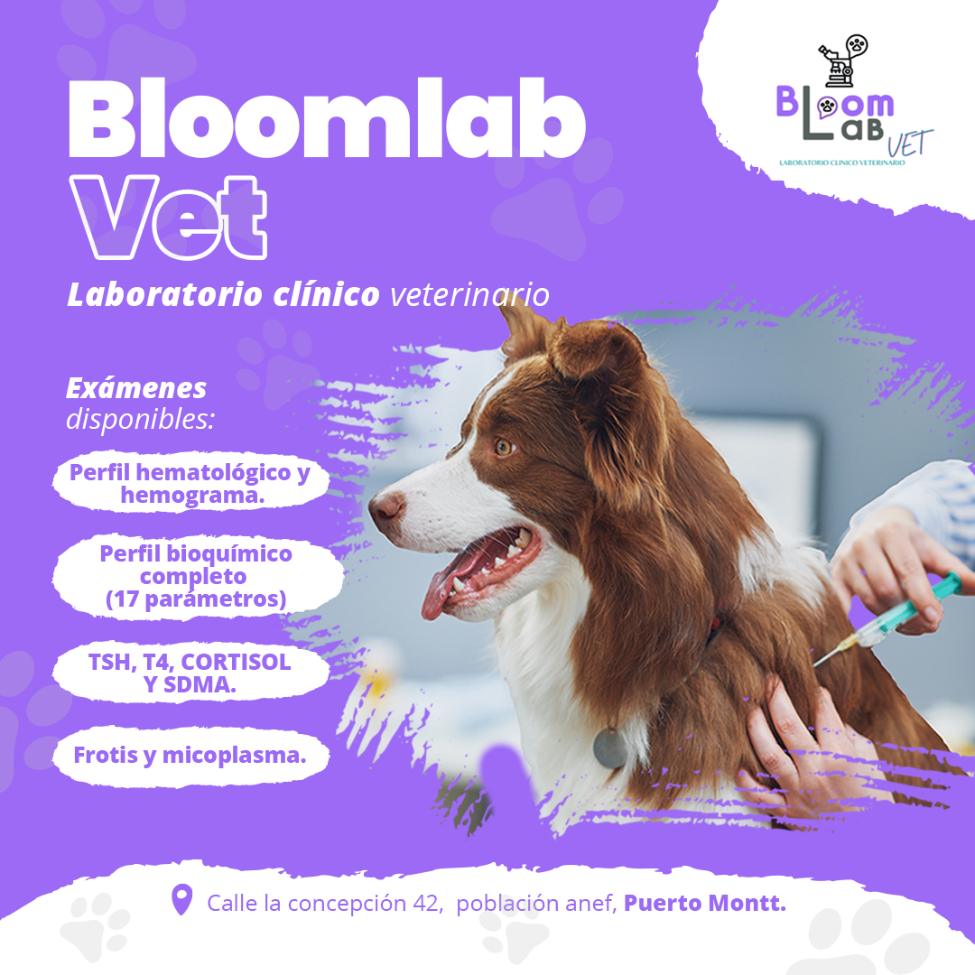 BloomLab Vet - BloomLab Vet, es un laboratorio clínico...