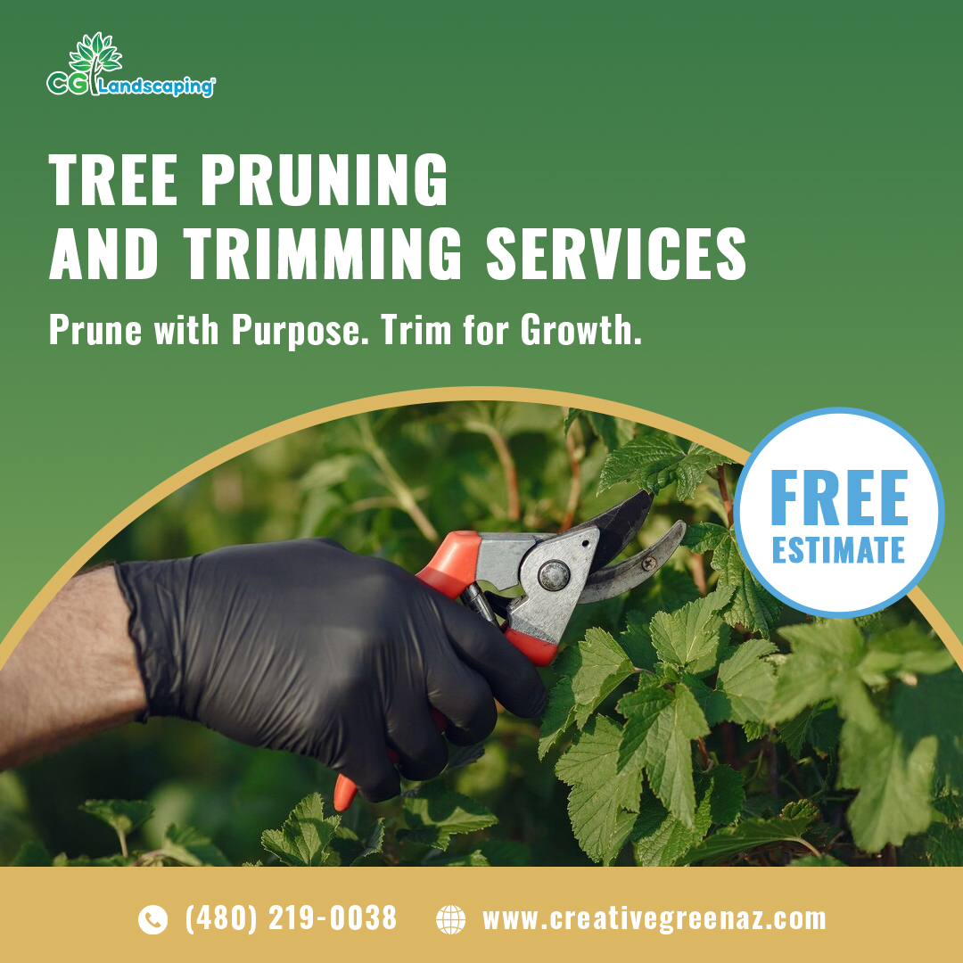 CGL - 🌳 Keep Your Trees Strong, Safe & Beautiful with Expert Pruning! ️ ...
