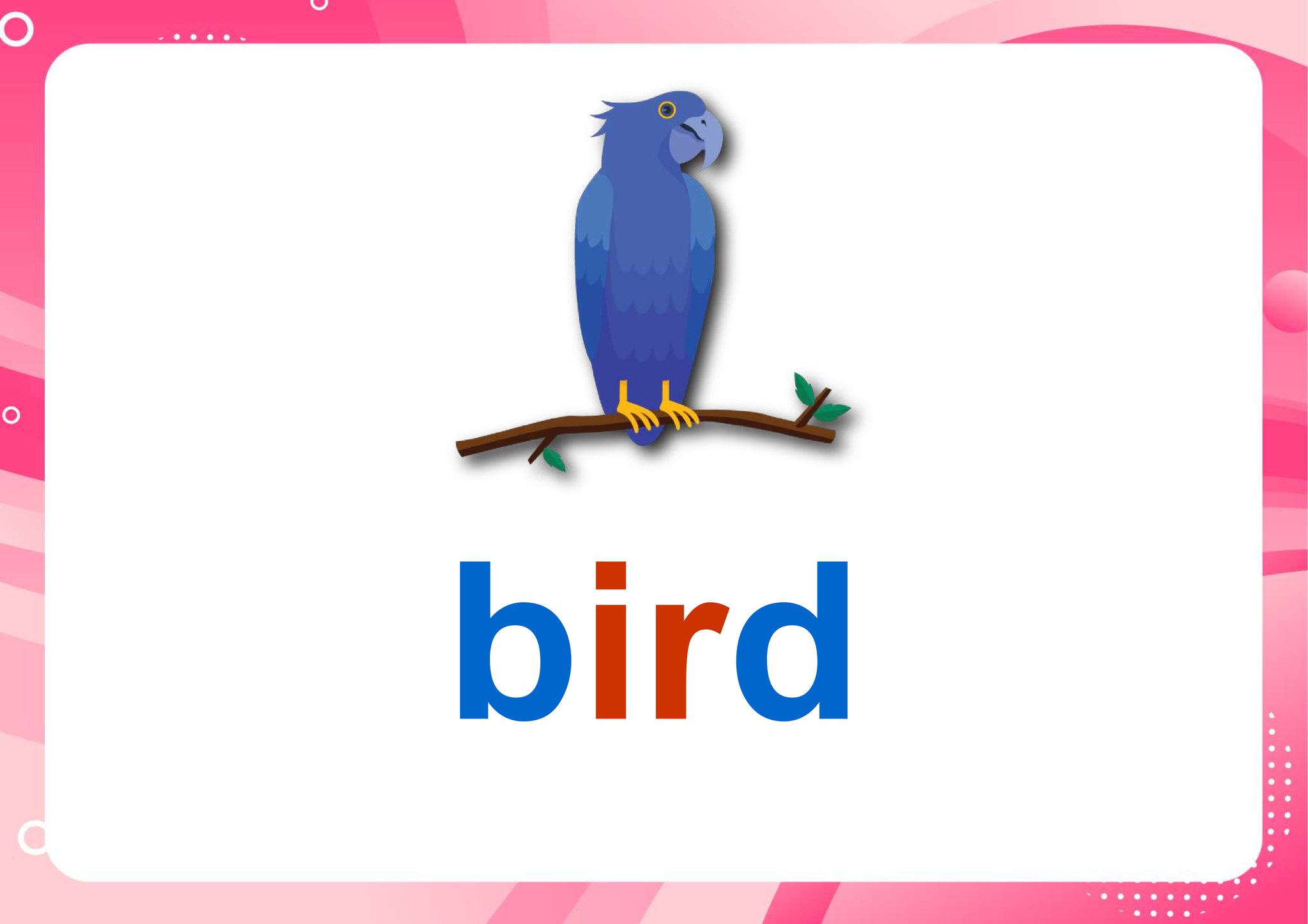 Engdict - เรียนภาษาอังกฤษ - bird แปลว่าอะไร ? ฝึกสะกดคำศัพท์ภาษาอังกฤษ ...