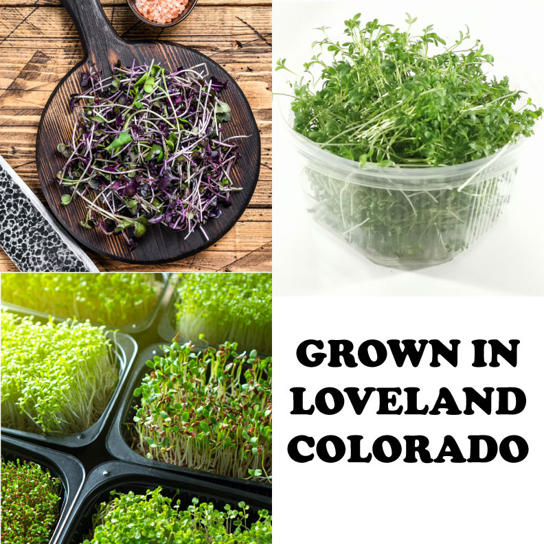 Sprout Express | Loveland CO
