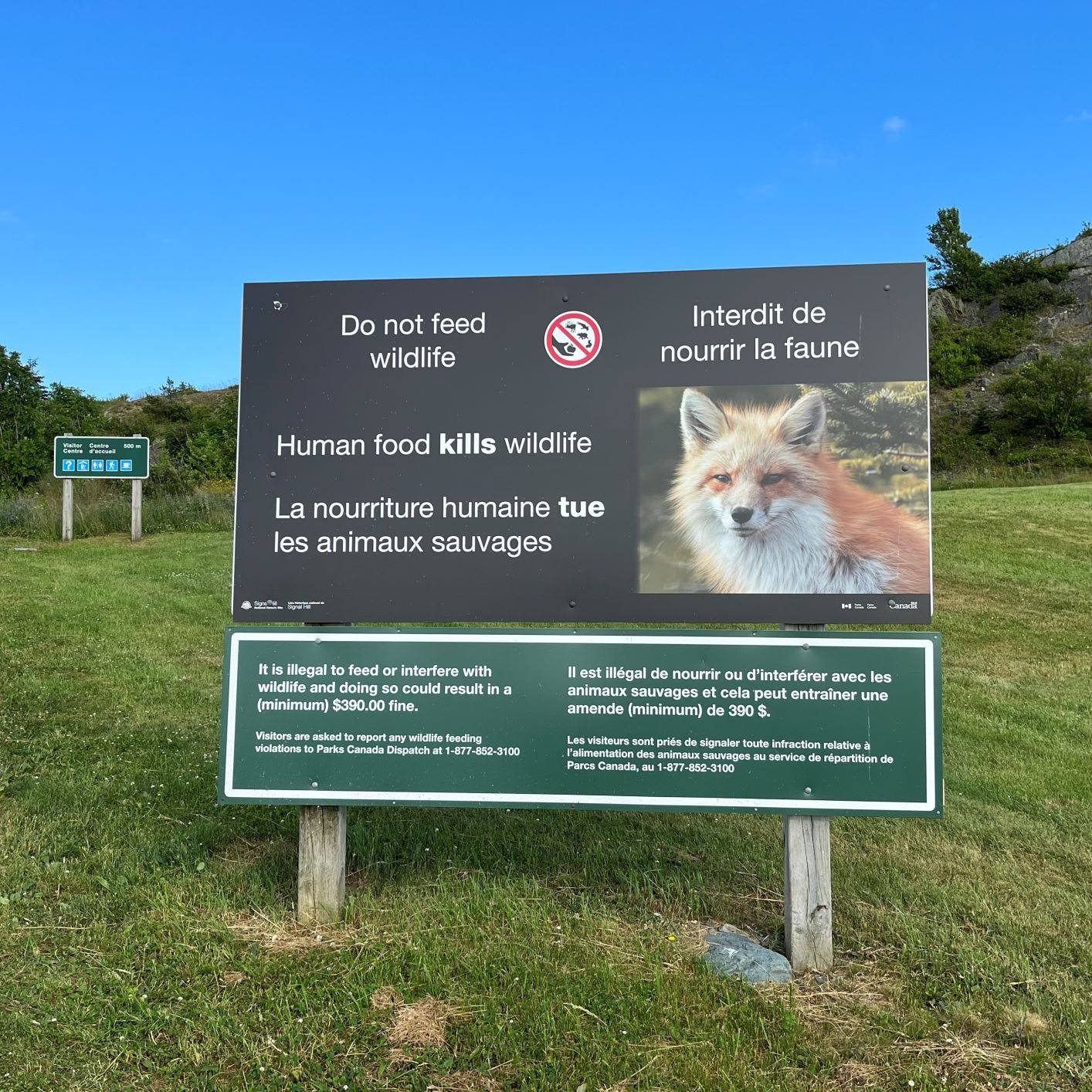 Signal - Animals in our national parks and national historic sites need ...