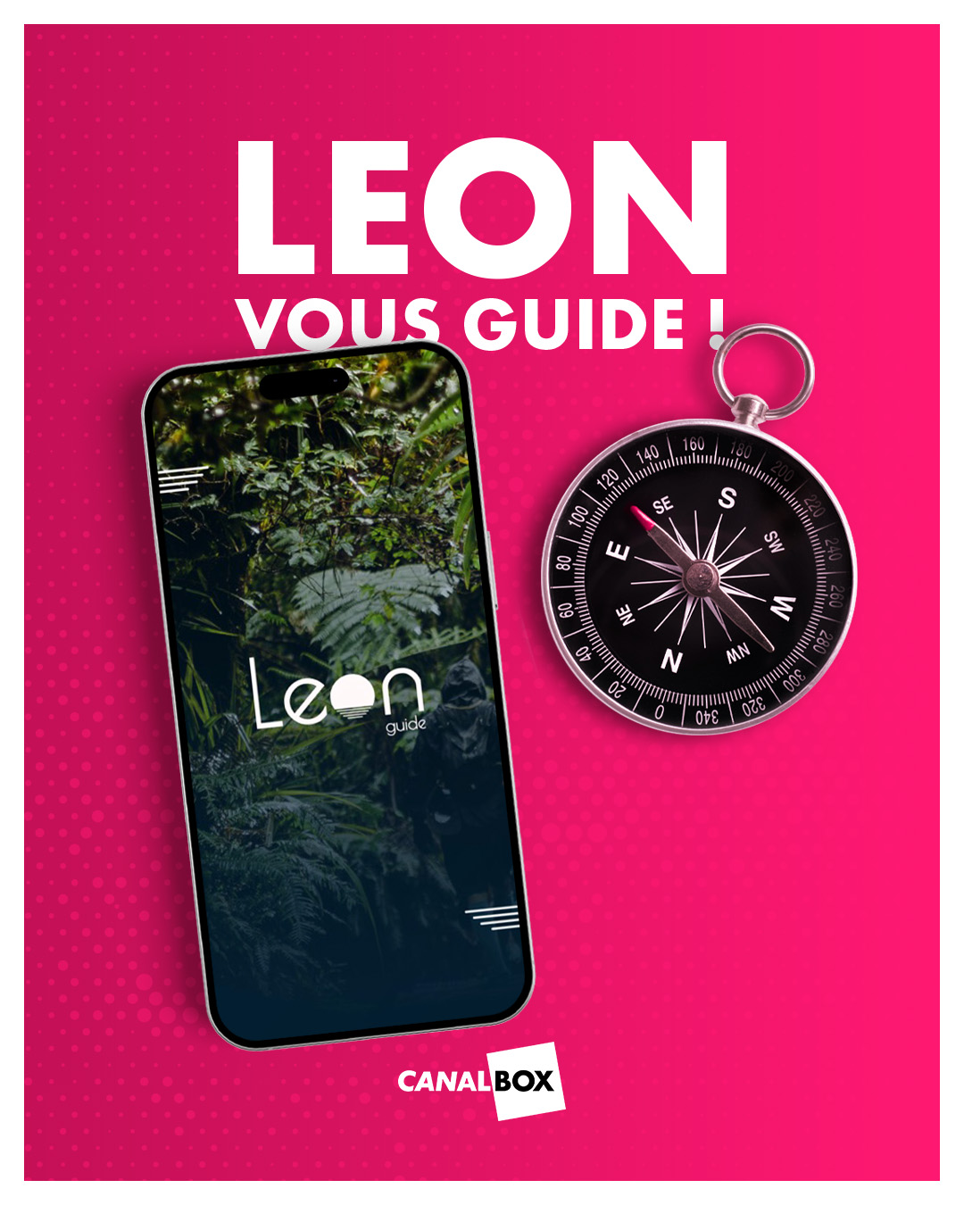 La fibre Canal+ Réunion