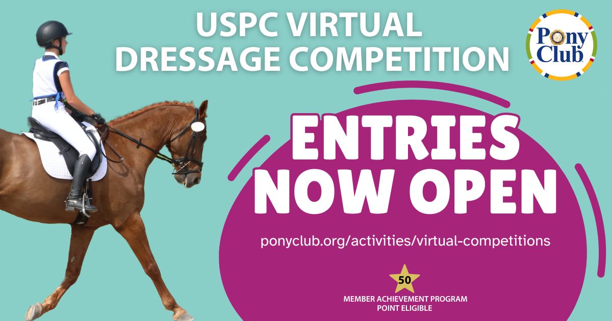 The United - Entries for the first-ever USPC Virtual Dressage ...