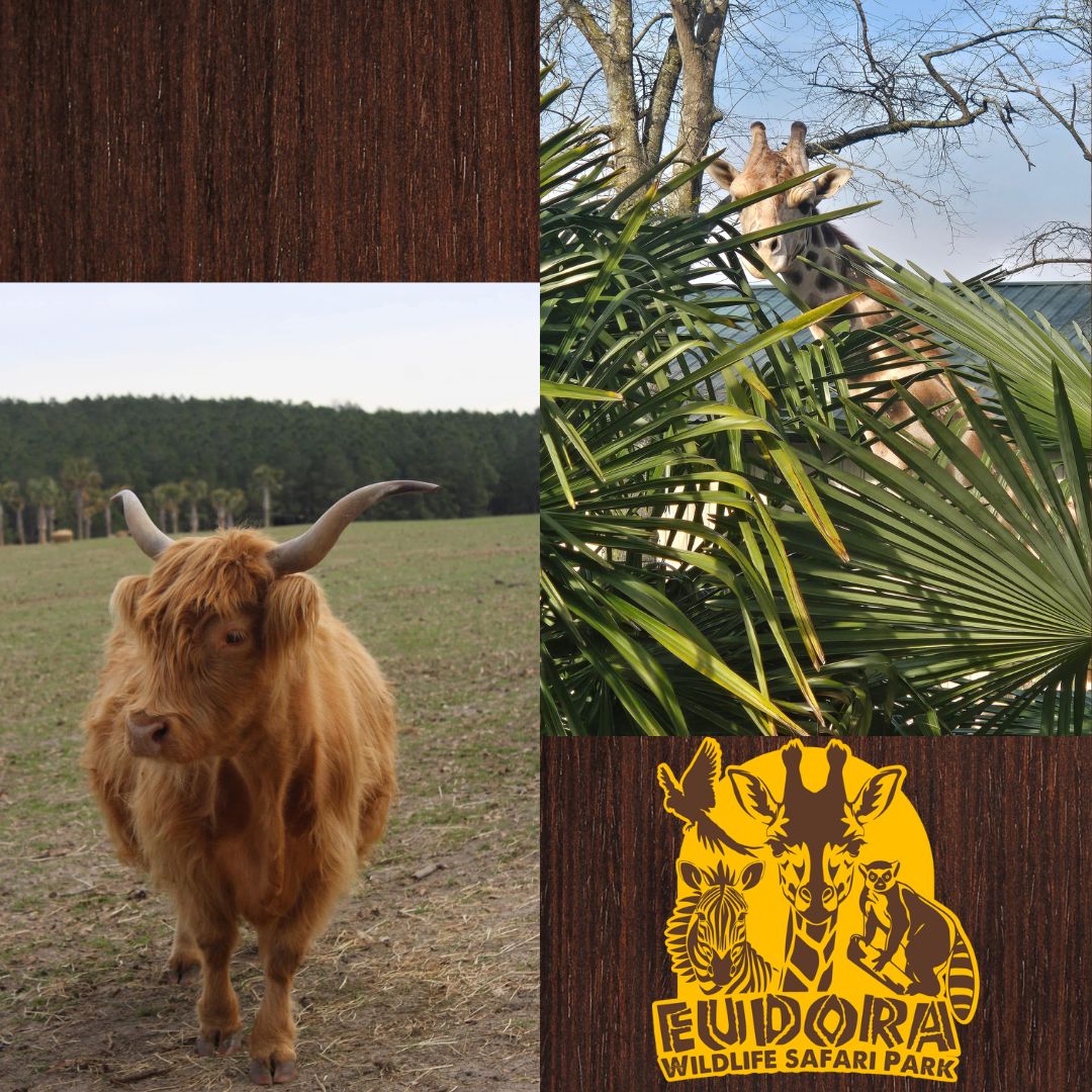 Eudora Wildlife Safari Park | Salley SC