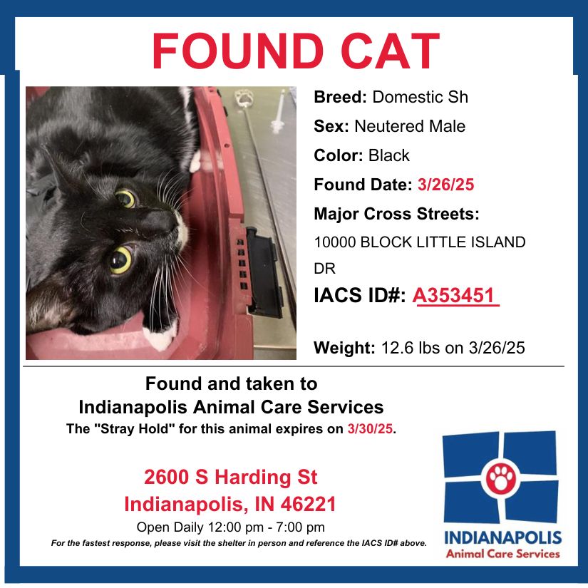 Indianapolis Animal Care Services - This animal was found on 3/26/25 in ...
