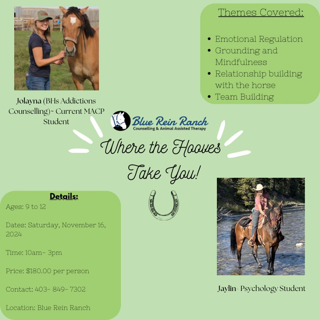 Blue Rein Ranch Counselling & Animal Assisted Therapy | Fort Macleod AB