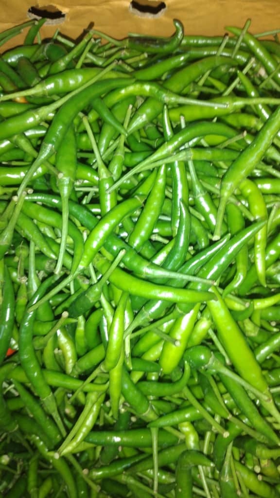 Thai Vege Supply | Kuala Lumpur
