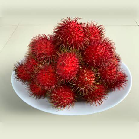 Cabanatuan Online Shop | ptpa rambutan 120 per kilo Bangkok santol 40 ...