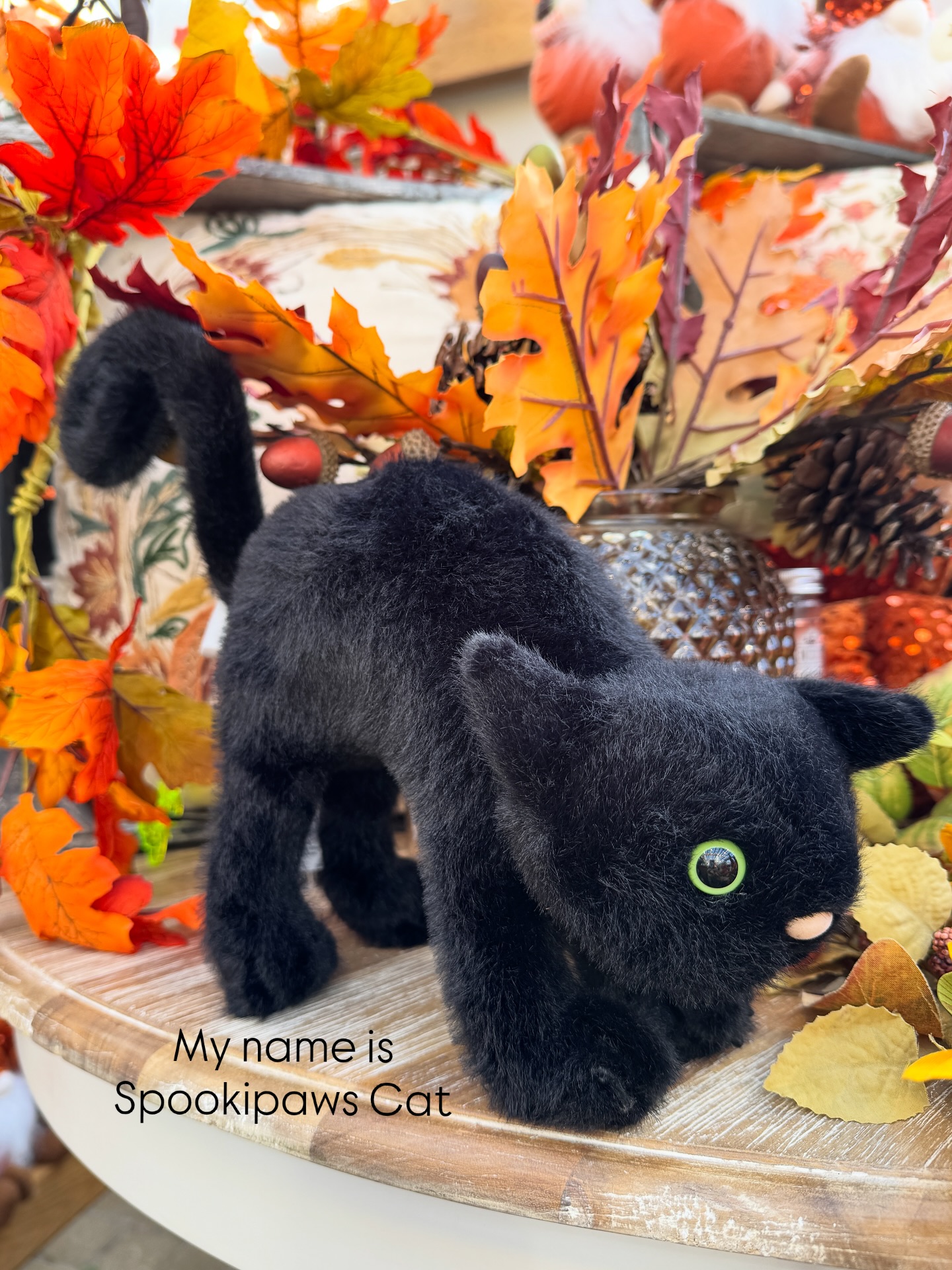 ✨ Introducing the spook-tacular new members of the Jellycat